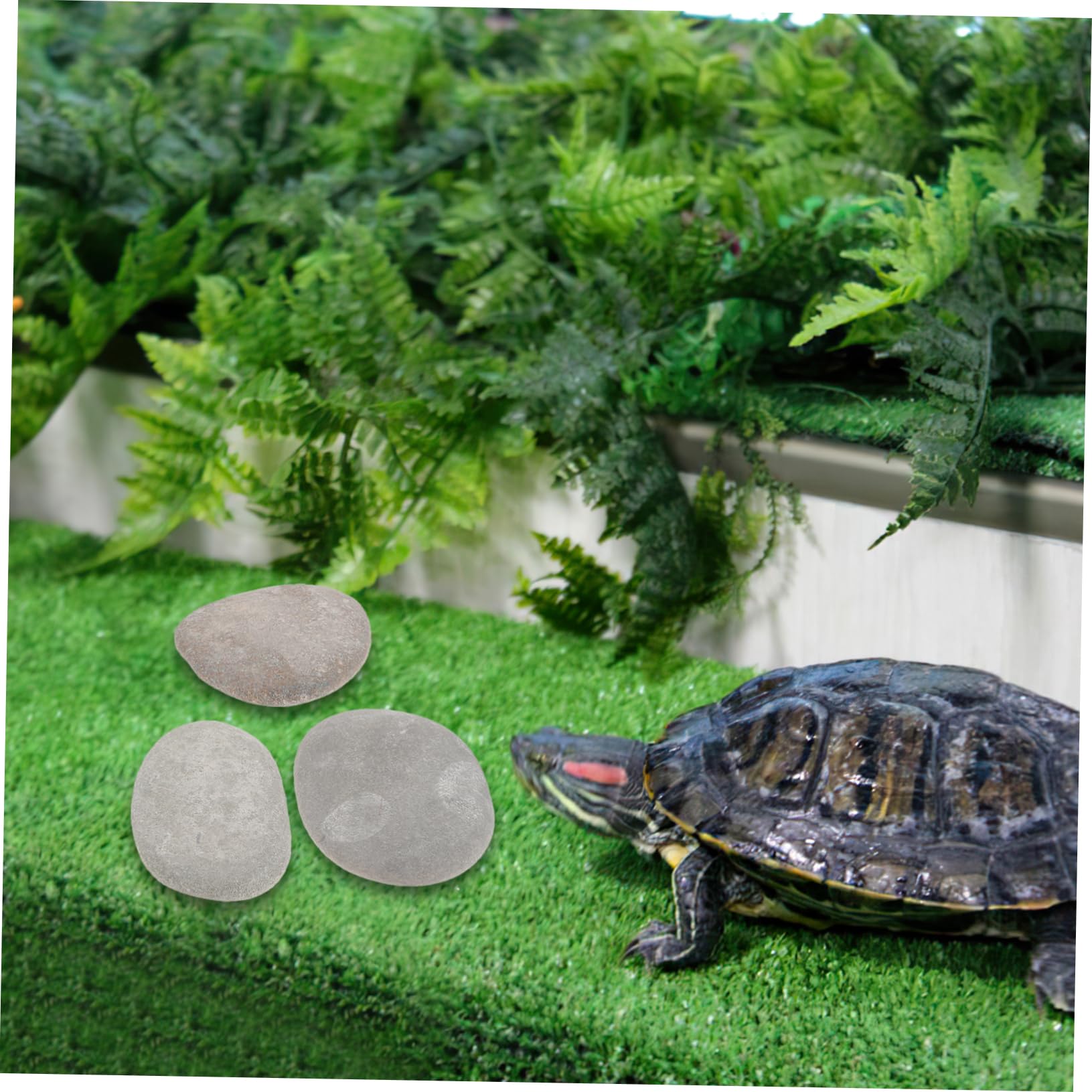 Sichere Terrariensteine für Reptilienhabitate und Aquarium Dekoration Sonnensteine 3 Stück mit Flacher Oberfläche aus Natürlichem Stein Zufällige Farbe für Schildkröten