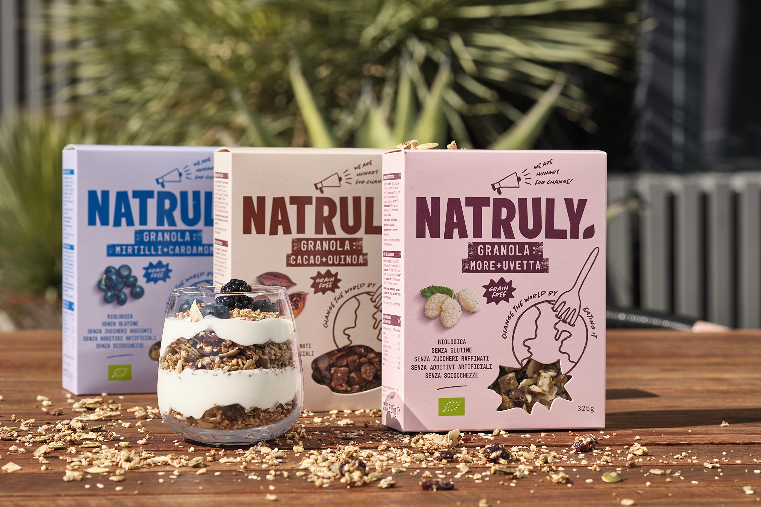 NATRULY Granola BIO Sin Azúcar Refinado, Sin Gluten, Solo Frutos Secos y Semillas, Sin Cereales, Sabor Arándanos - Pack 2x325g