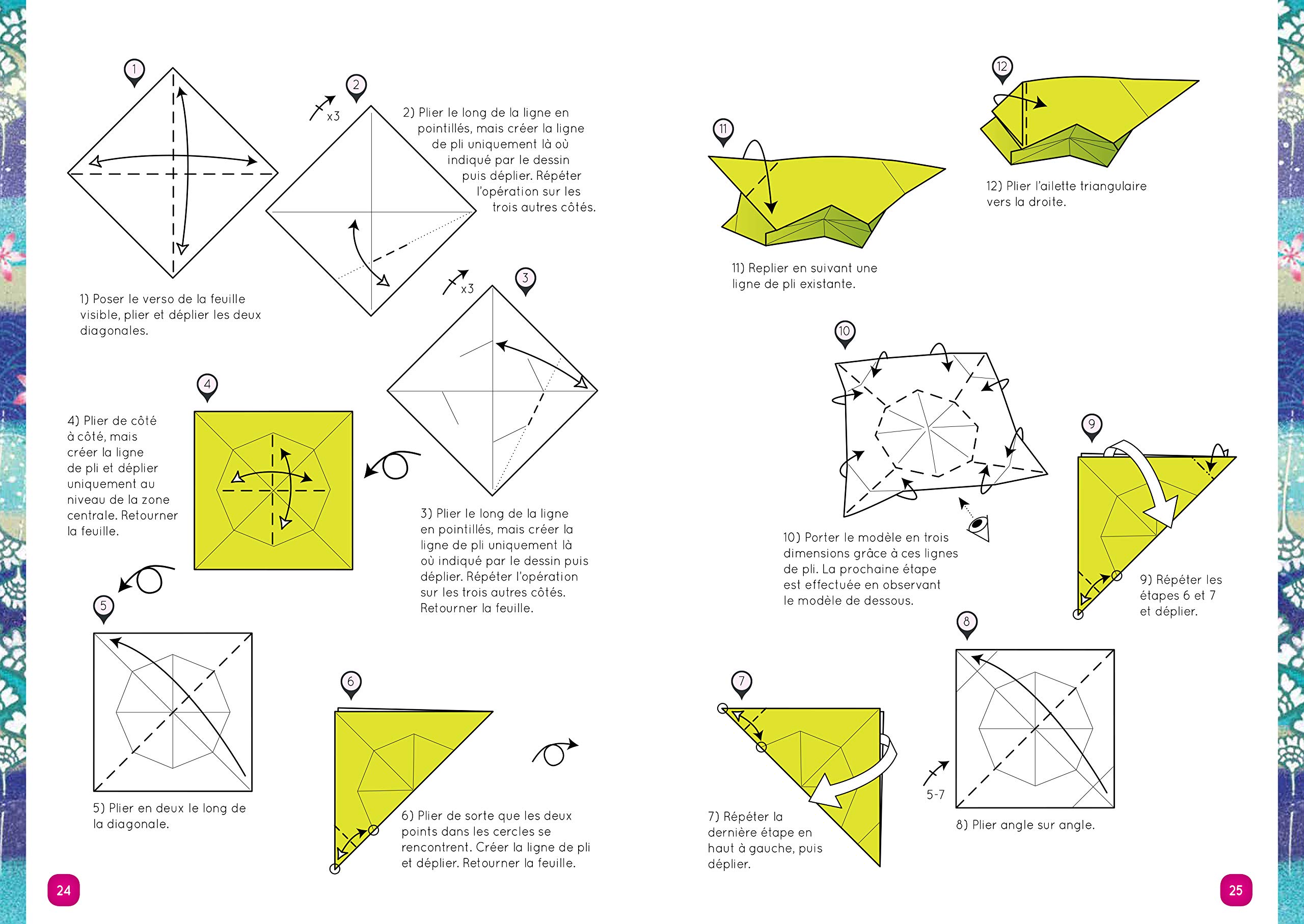 Origami d'exception: Avec 100 feuilles de papier origami