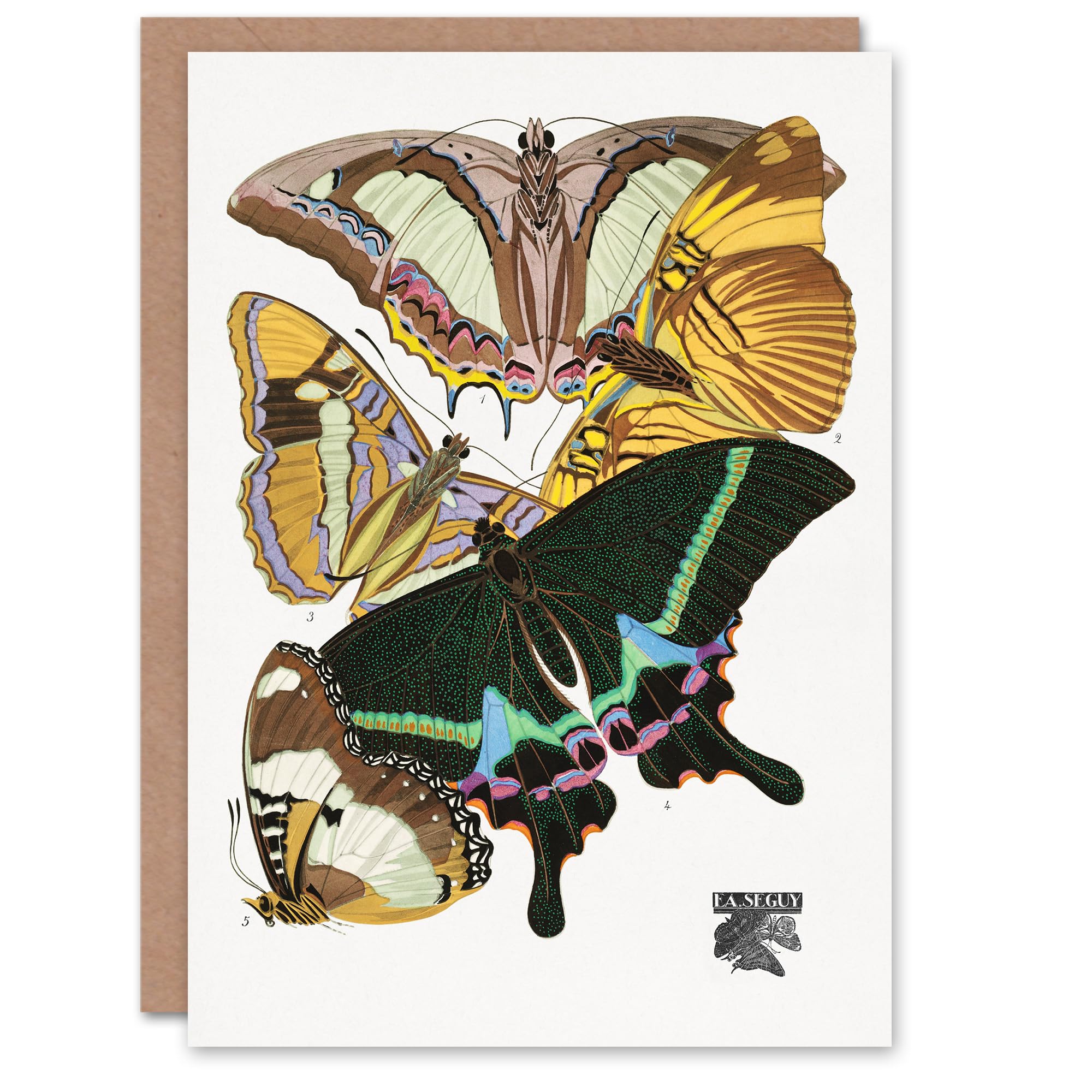 Artery8 Eugene Seguy Art Card Bright Vintage Butterflies Papillons