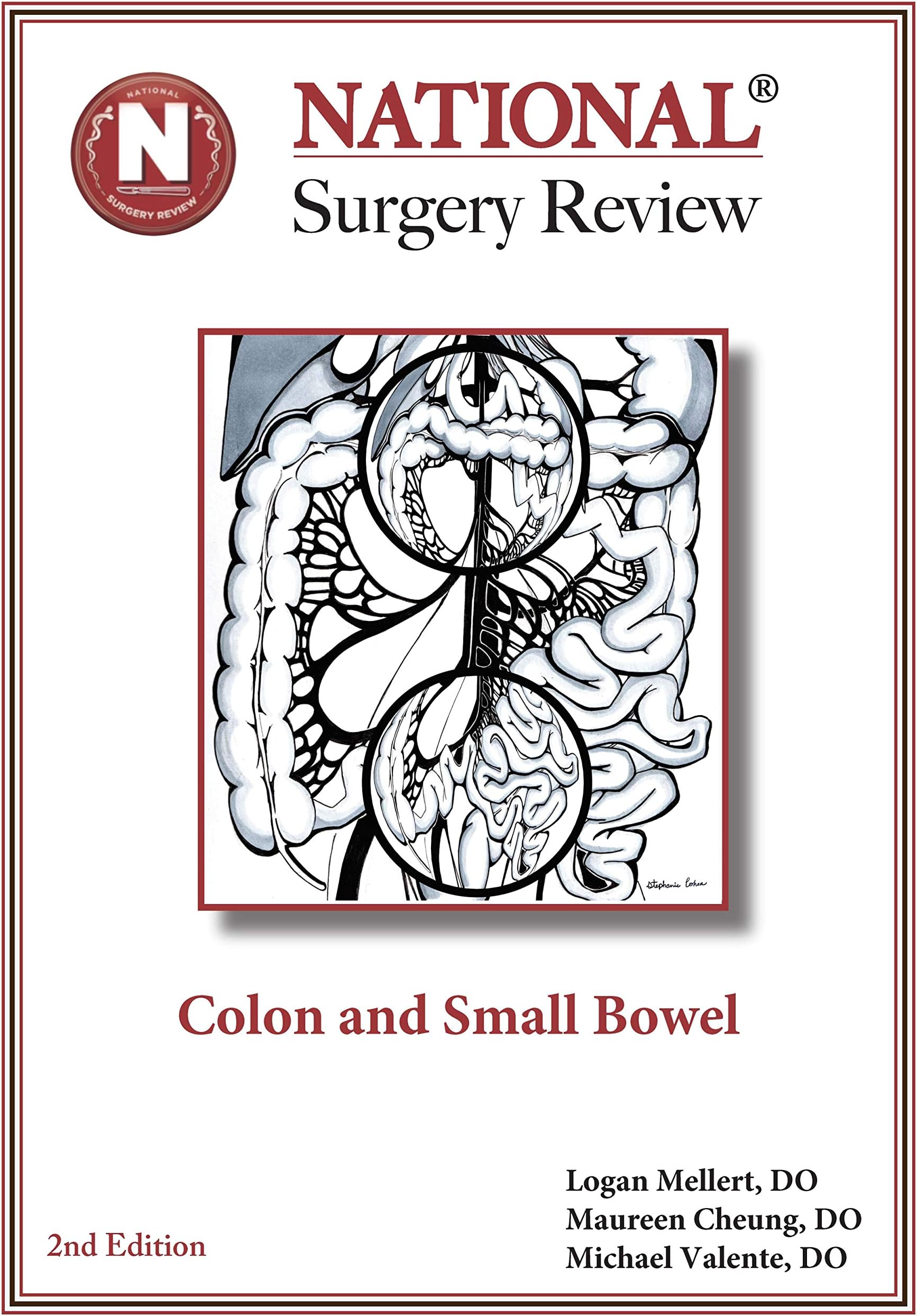 Colon and Small Bowel (National Surgery Review)
