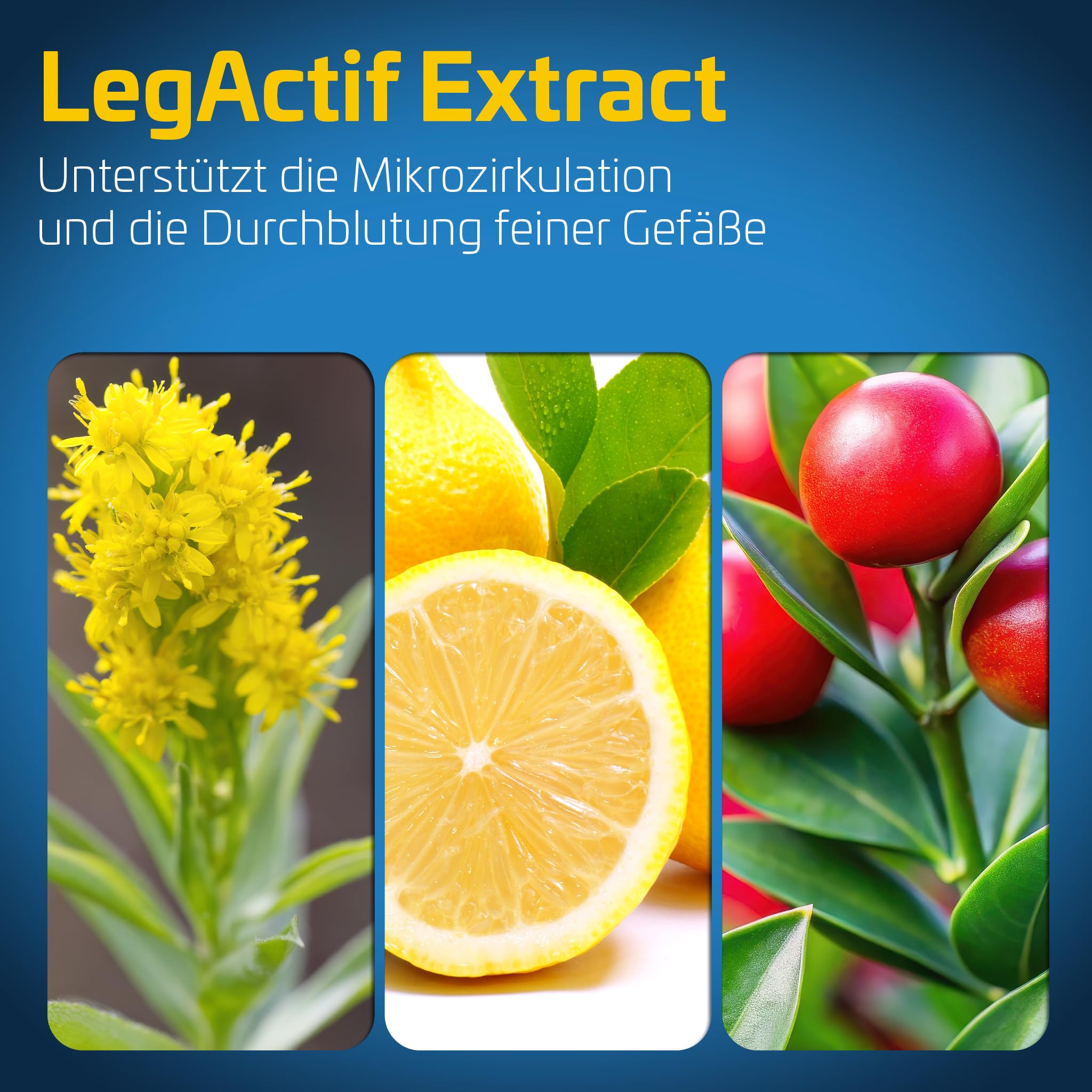 Restaxil® Gel [120ml] – Kühlendes & pflegendes Gel mit speziellem Multi-Target-Ansatz - ideal für beanspruchte Beinen, Füße und Rücken | Made in Germany