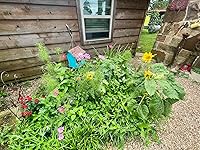 Review Image by Rafter H Ranch Rafter H Ranch