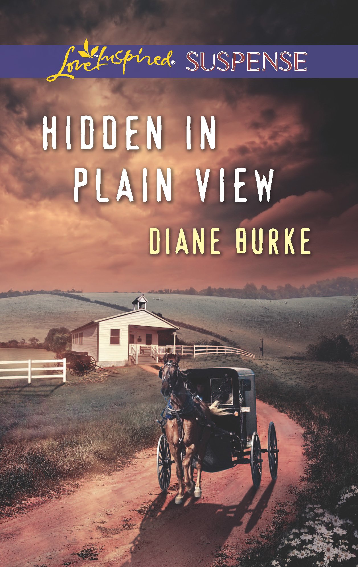 Hidden in Plain View (Love Inspired Suspense)