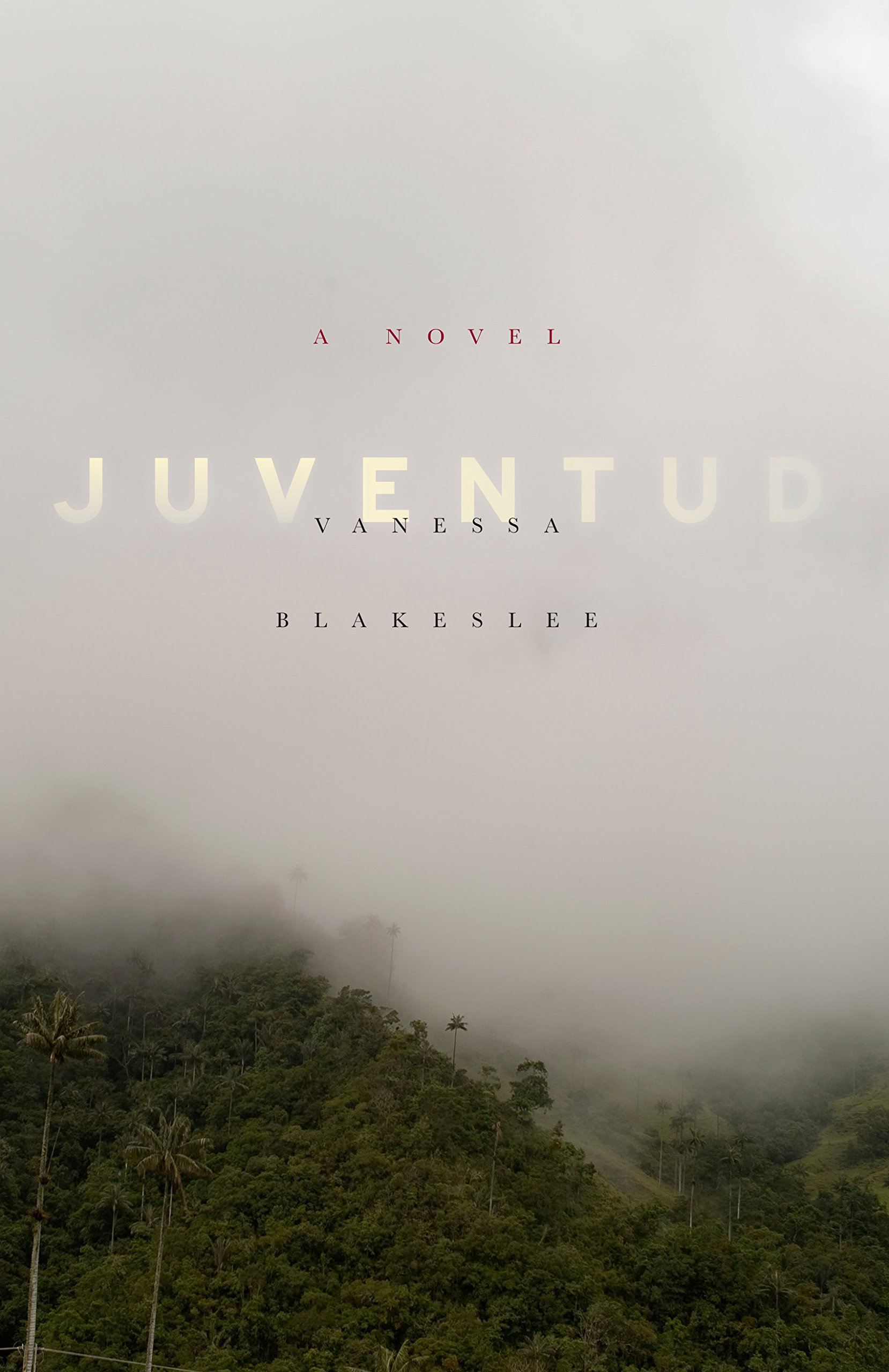 Buy Juventud: A Novel — BookShops.in