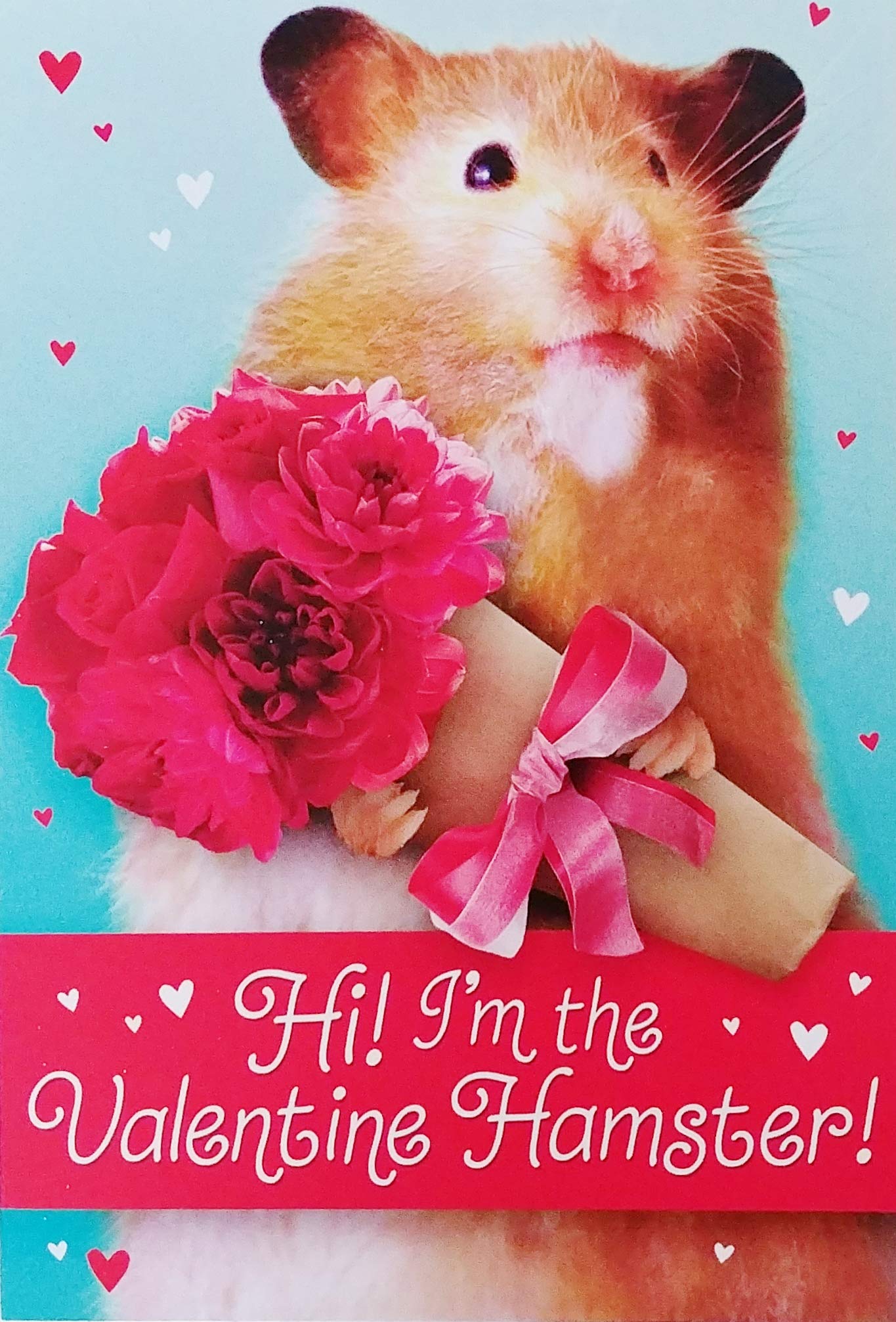 Amazon.com : I'm The Valentine Hamster - Cute Happy Valentine's Day Greeting  Card : Office Products