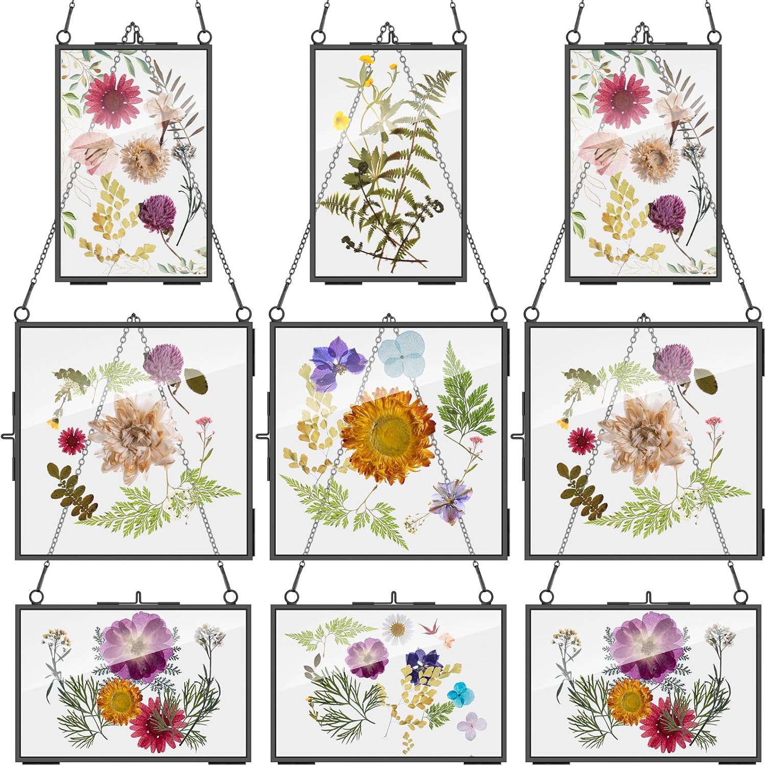 Geetery 9 Pcs Glass Frame for Pressed Flowers 6x4 4x6 6x6 in Hanging Picture Frames