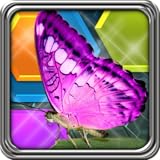 HexLogic - Butterflies
