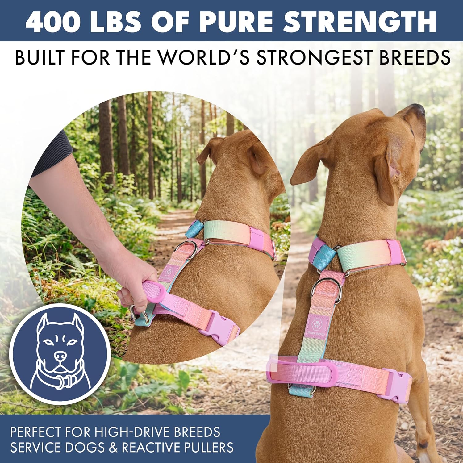 Spark Paws No Pull Dog Harness with Handle for Large Dogs, Heavy Duty Dog Harness for Big Strong Breeds, Adjustable, Y Shaped Padded Halter Design with Front Clip- Pastel Icing - M
