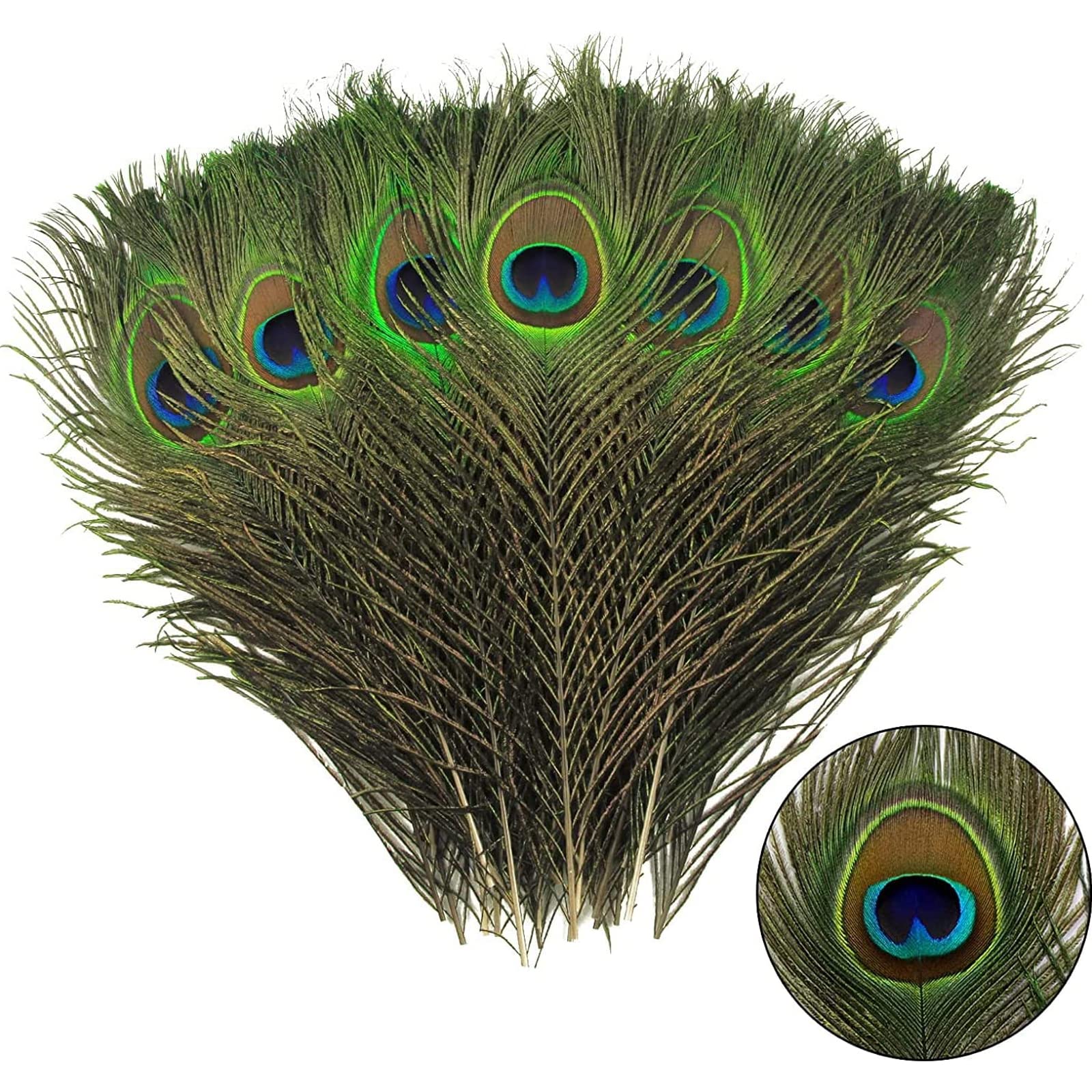15Pcs Peacock Feathers, Peacock Feather, Peacock Feathers Long, Natural Large Peacock Eye Feathers, 10-12 Inches Peacock Tail Feather for Wedding, Vase, Christmas Party Decoration, DIY Art & Craft