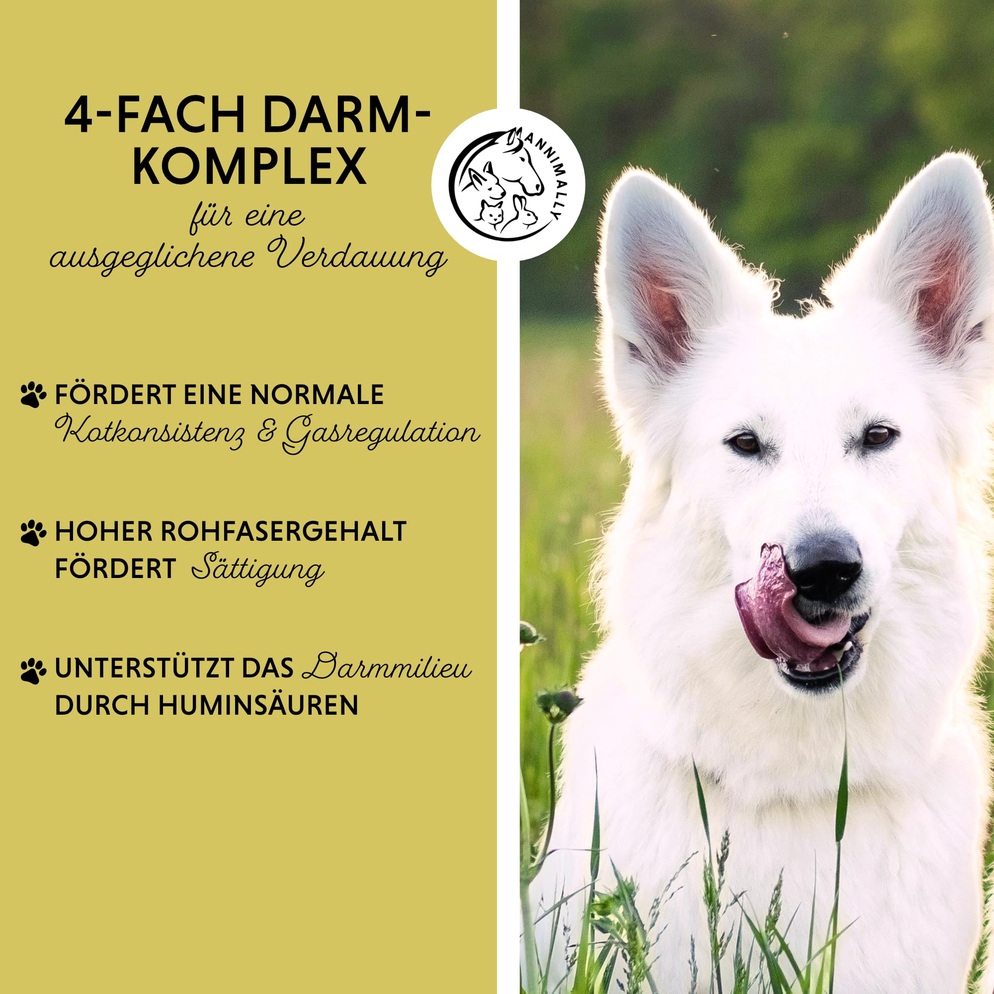 Annimally Gras- & Kotfresser Tabletten für Hunde - Unterstützen Verdauung & Magen-Darm-Flora, mit Probiotika, Ballaststoffen & Pflanzenstoffen, 120 Stück