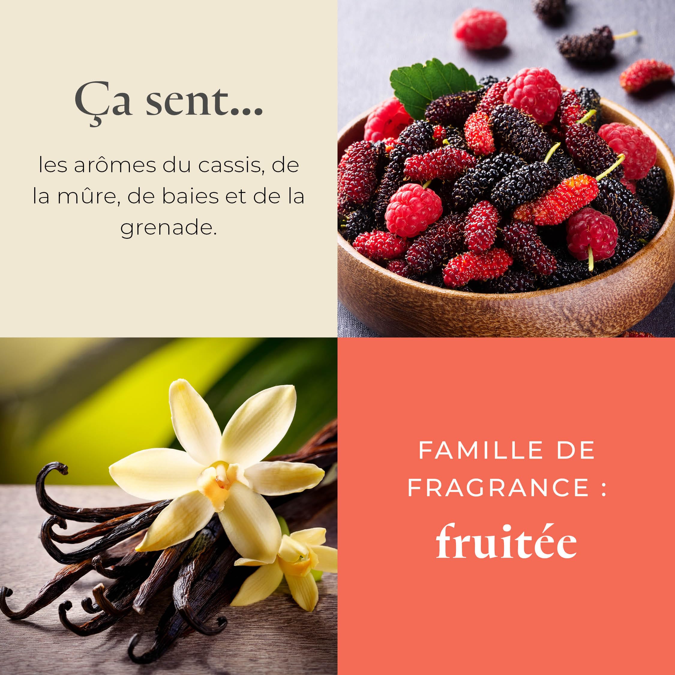 PartyLite Bougie en pot 3 mèches 374,2 g 45 heures Parfum mûre cassis grenade