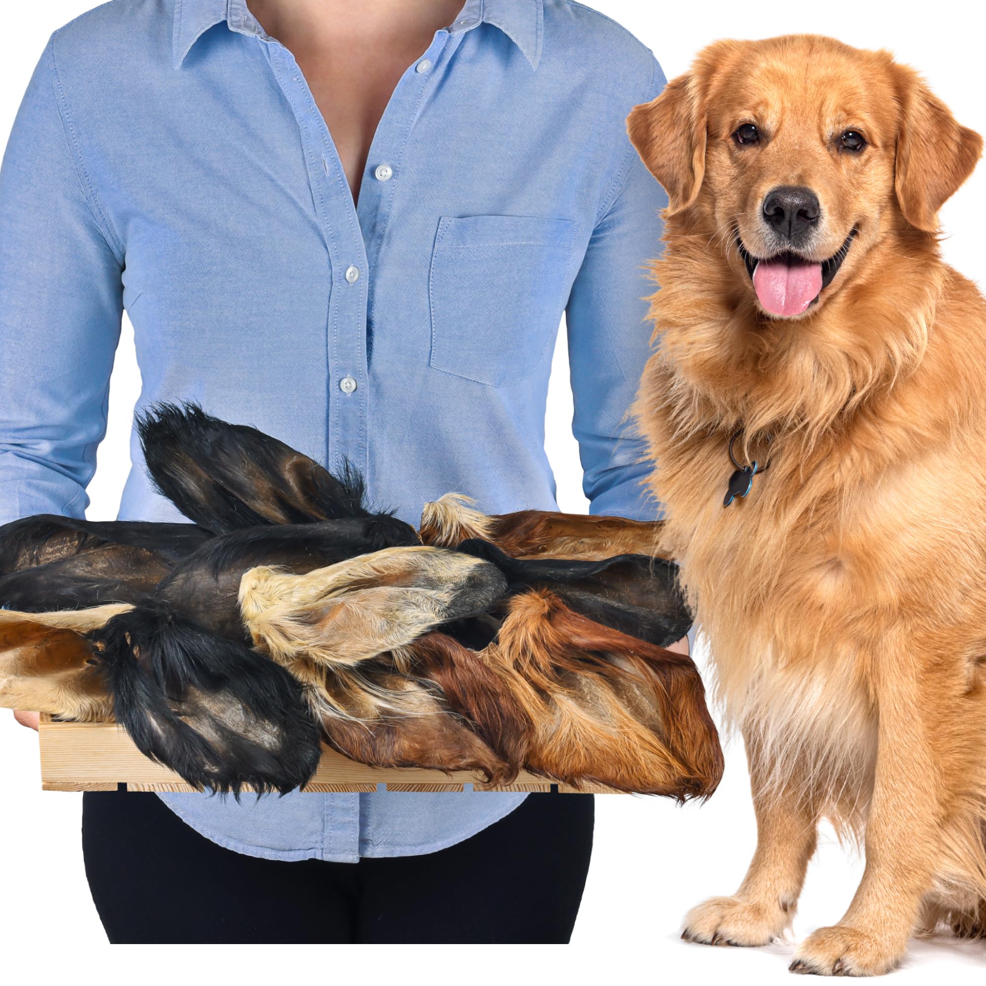 Lot de 10 oreilles de bœuf avec fourrure pour chien - Friandise naturelle à mâcher - Faible en gras et sans additifs - Article à mâcher de qualité supérieure pour les moments intermédiaires