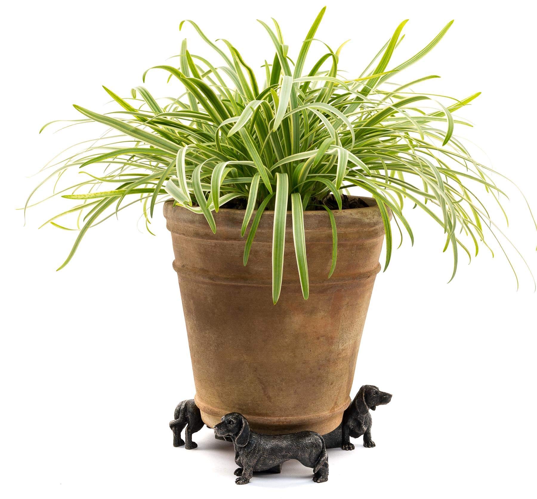 Potty Feet Decorative Pig Themed Plant Pot Feet in Antique Bronze Color - 3pc Fr