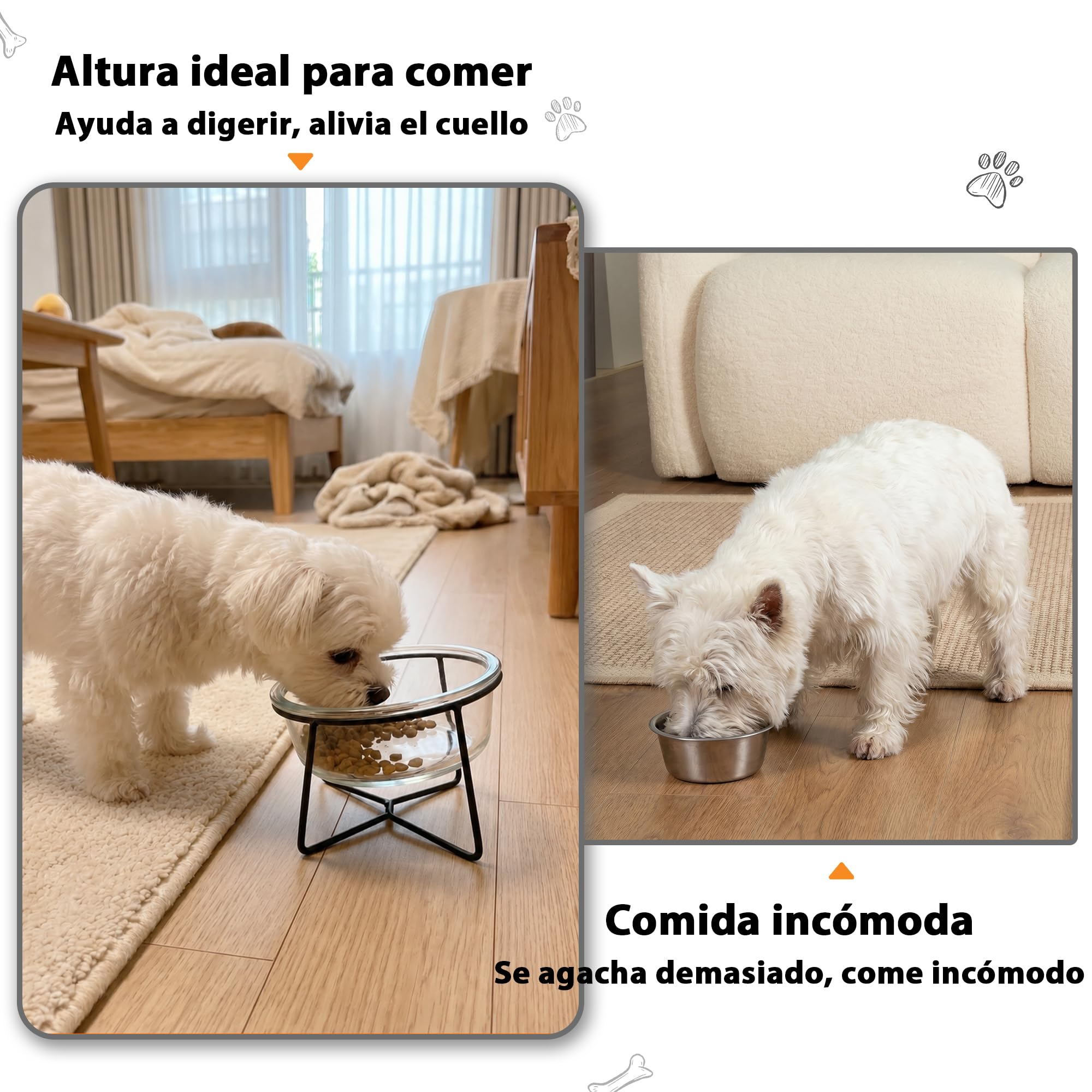 Comedero Elevado para Gato con Soporte, Cuenco de Cristal 460 ml para Agua y Comida, Apto para Perro Pequeño y Cachorro