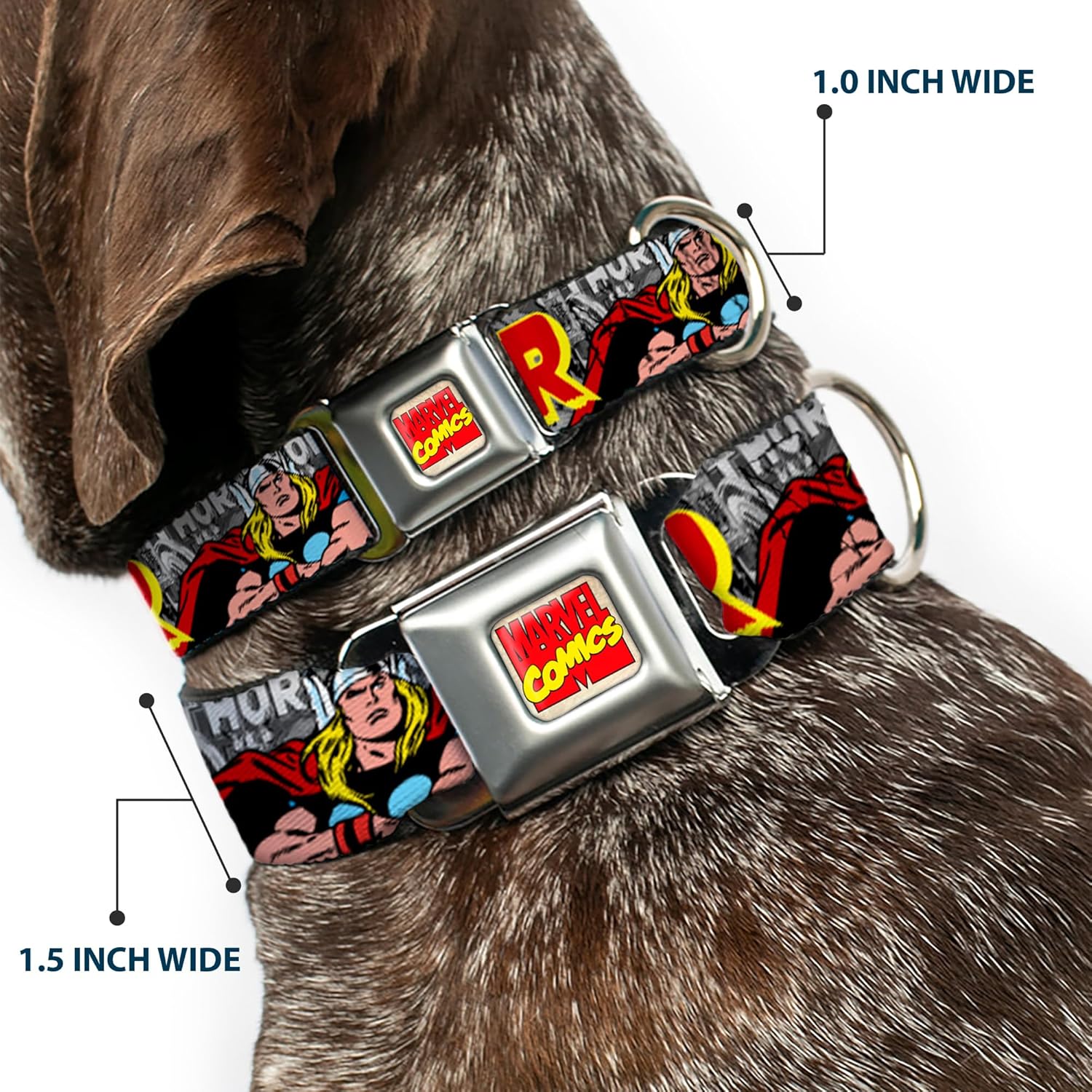 Dog Collar Seatbelt Buckle The Mighty Thor Action Poses 11 to 17 Inches 1.0 Inch Wide