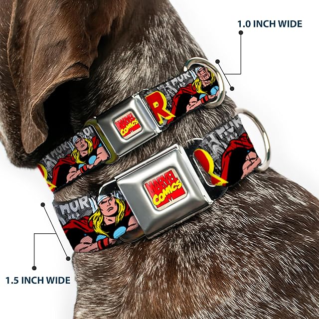 Foto 2 de 8 de Buckle-Down Collar de Perro con Hebilla de cinturón de Seguridad - The Mighty Thor Action Poses