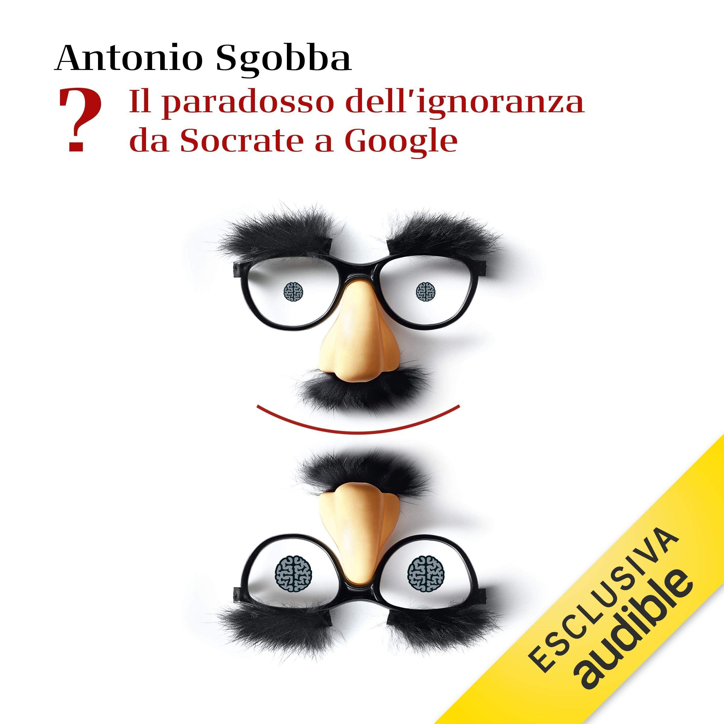 Il paradosso dell'ignoranza da Socrate a Google