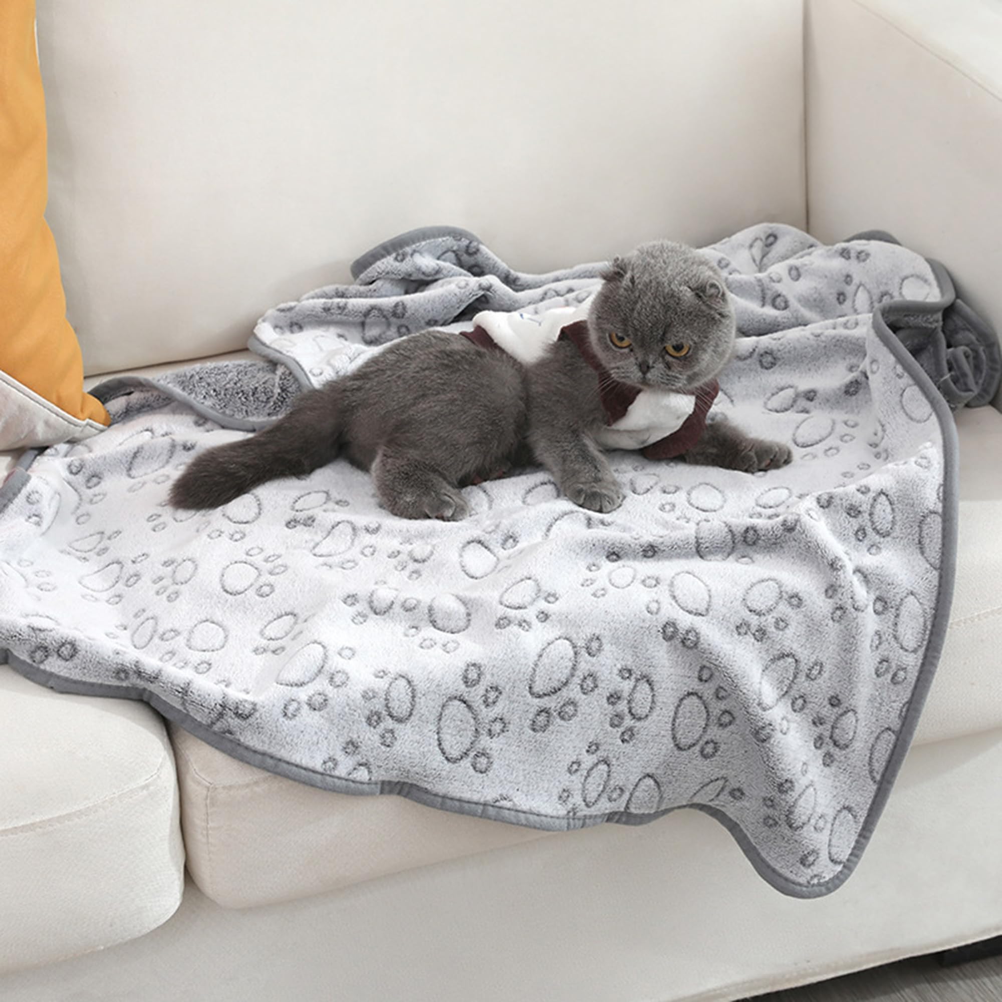 Lot de 2 couvertures apaisantes et polyvalentes lavables à motif de pattes pour chien et chat de petite et moyenne taille (200 x 160 cm)
