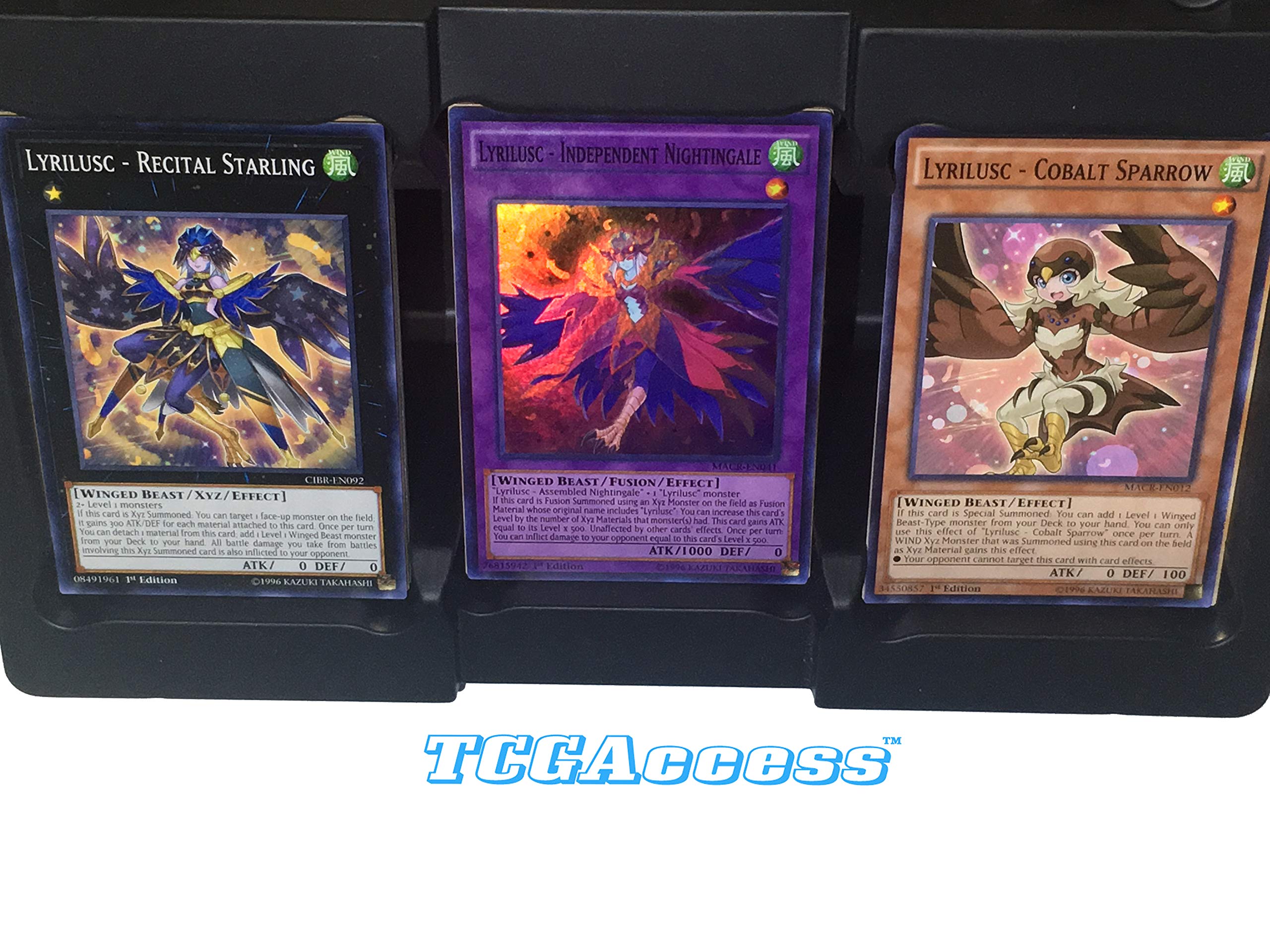 yugioh deck building sets Amazon.com: Yugioh OCG Duel Monsters structure deck - Seto Kaiba main image 1
