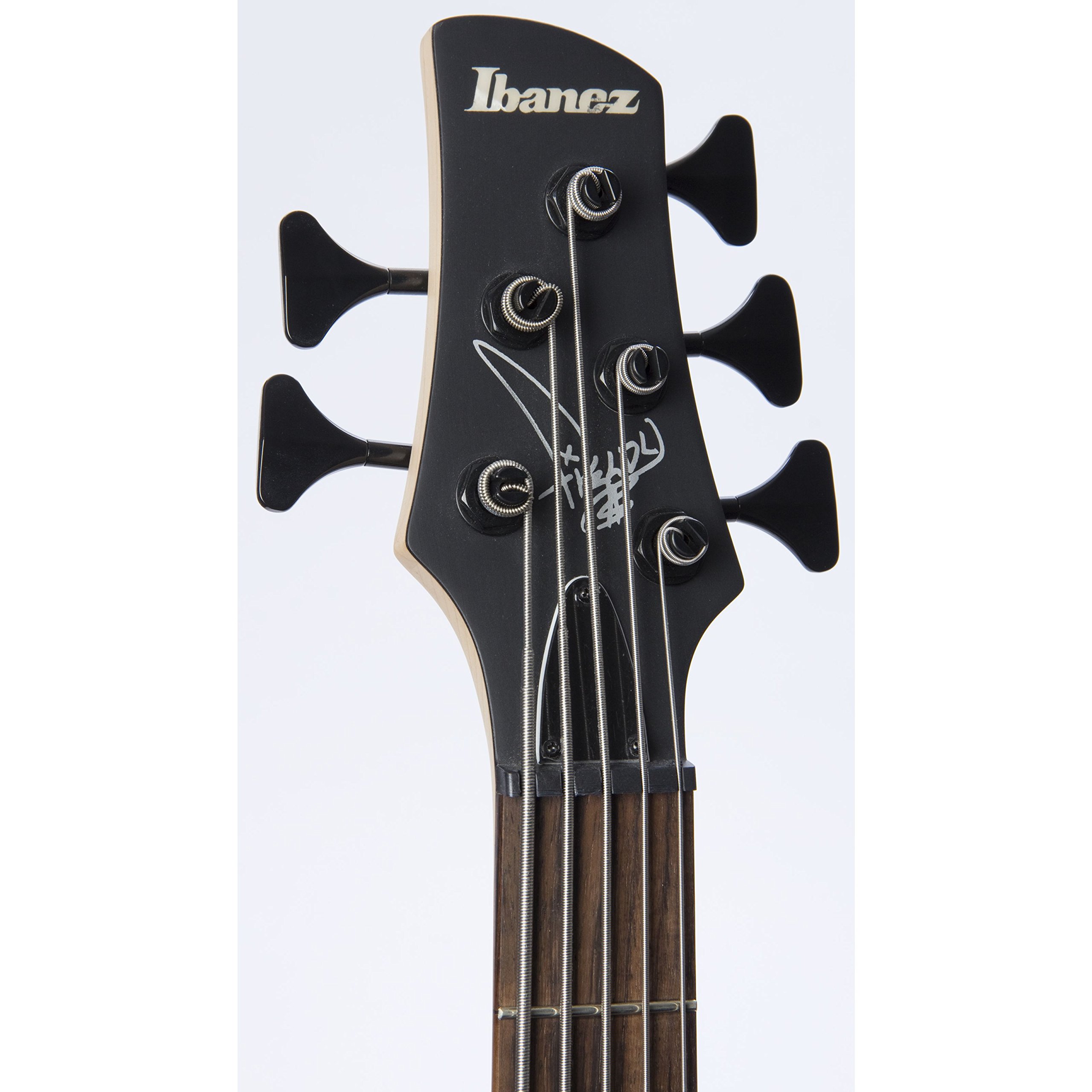 Amazon | Ibanez / K5-BKF (Black Flat) Fieldy (KORN) Signature