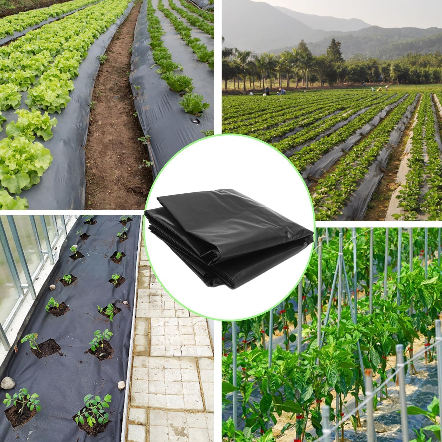 Bache Noire Agricole, 2x6 m Bache Plastique, Etanche Bache Noire, Résistant aux Déchirures Bache Noir, Bache Noire Jardin Convient aux Maisons Etangs Fleurs Jardins Serres Réservoirs