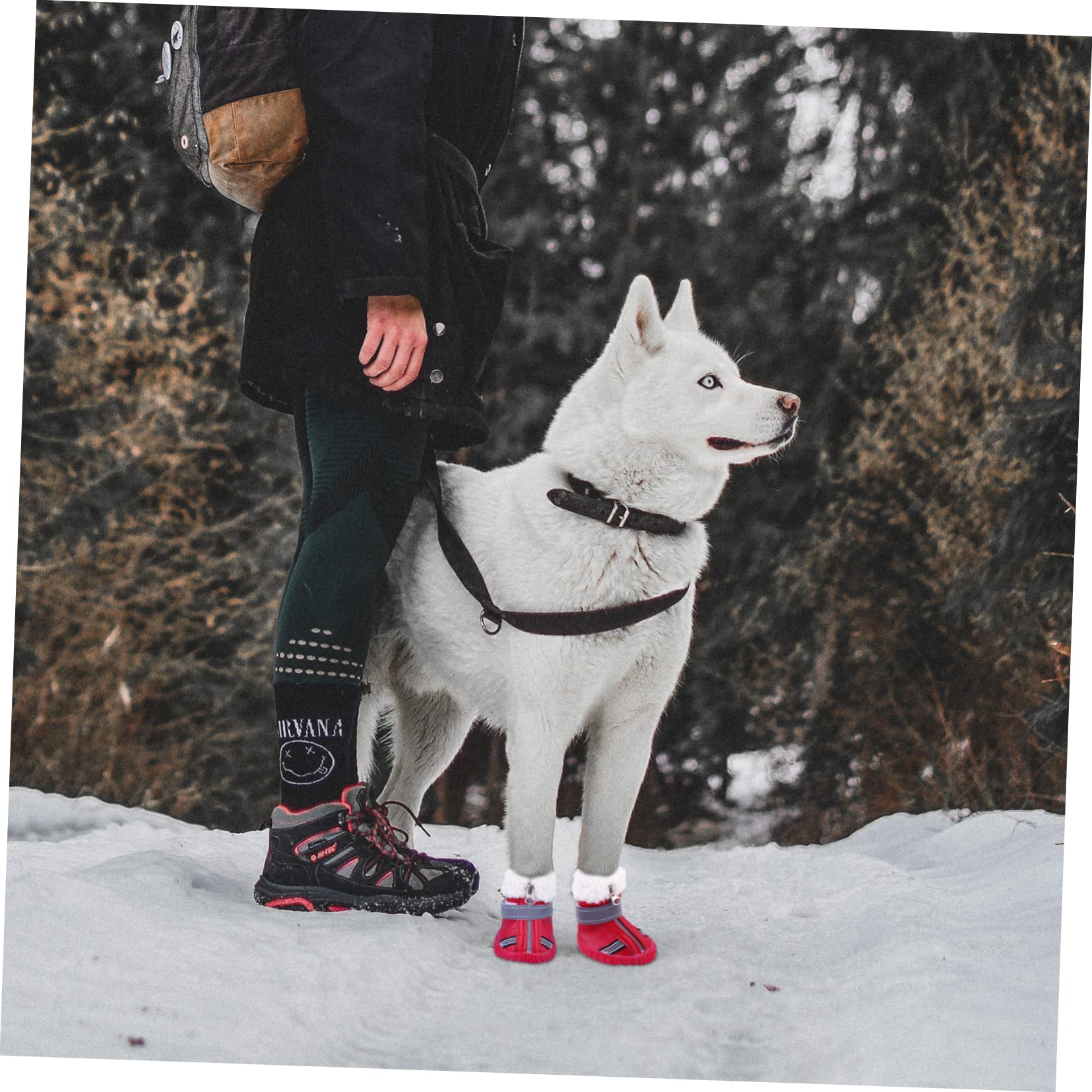 BESPORTBLE 12stücke wasserdichte Hundeschuhe Aus Dicker Für Winter Und Schnee rutschfeste Pfotenschutzschuhe Für Kleine Hunde Und Optimale Pfotenpflege