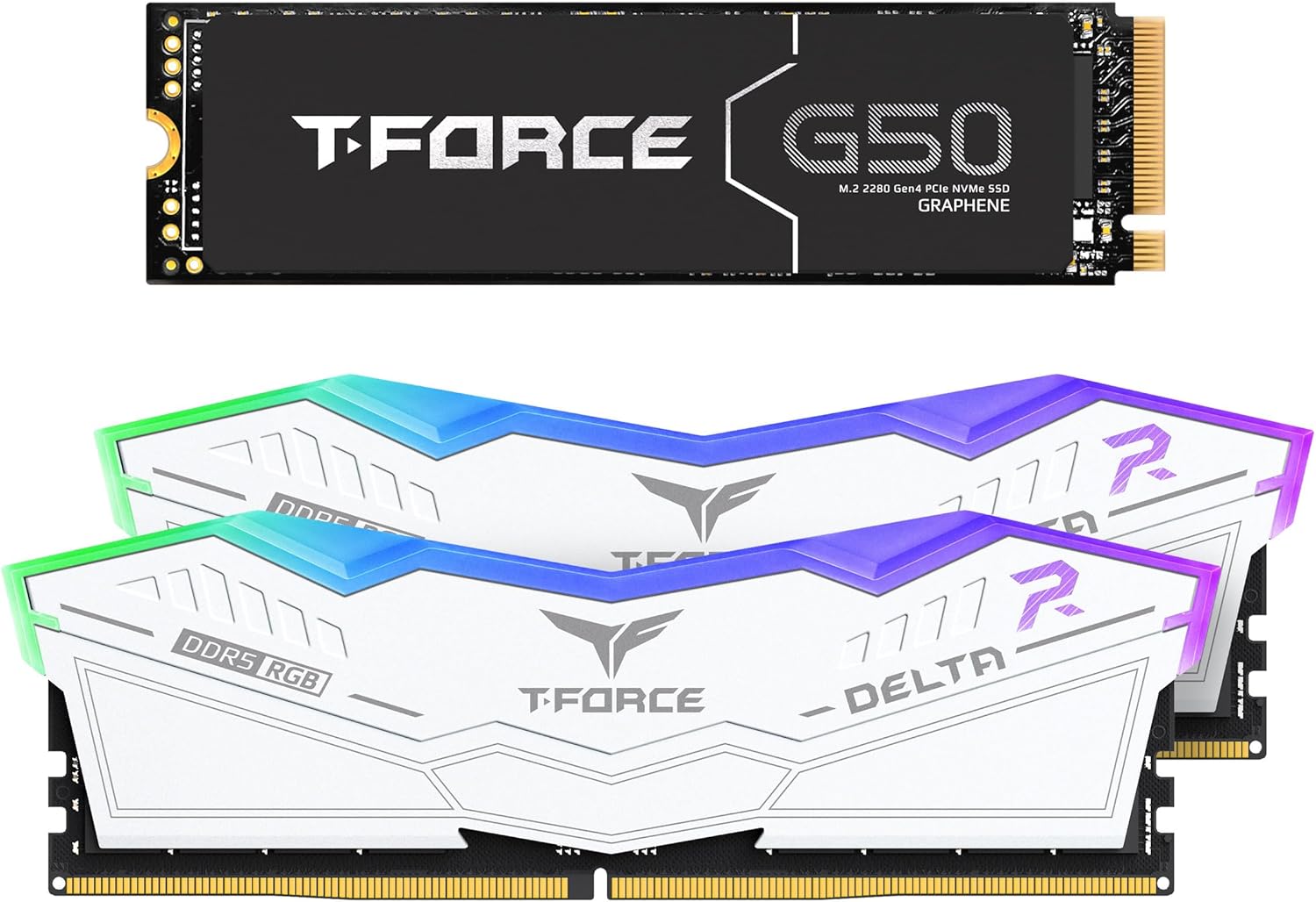 TEAMGROUP T-Force Delta RGB DDR5 32GB Kit  6000MHz Desktop Memory  FF4D532G6000HC38ADC01 Bundle with G50 1TB NVMe PCIe G