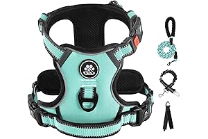 IVY&LANE No Pull Dog Harness: Stroll Stress-Free!