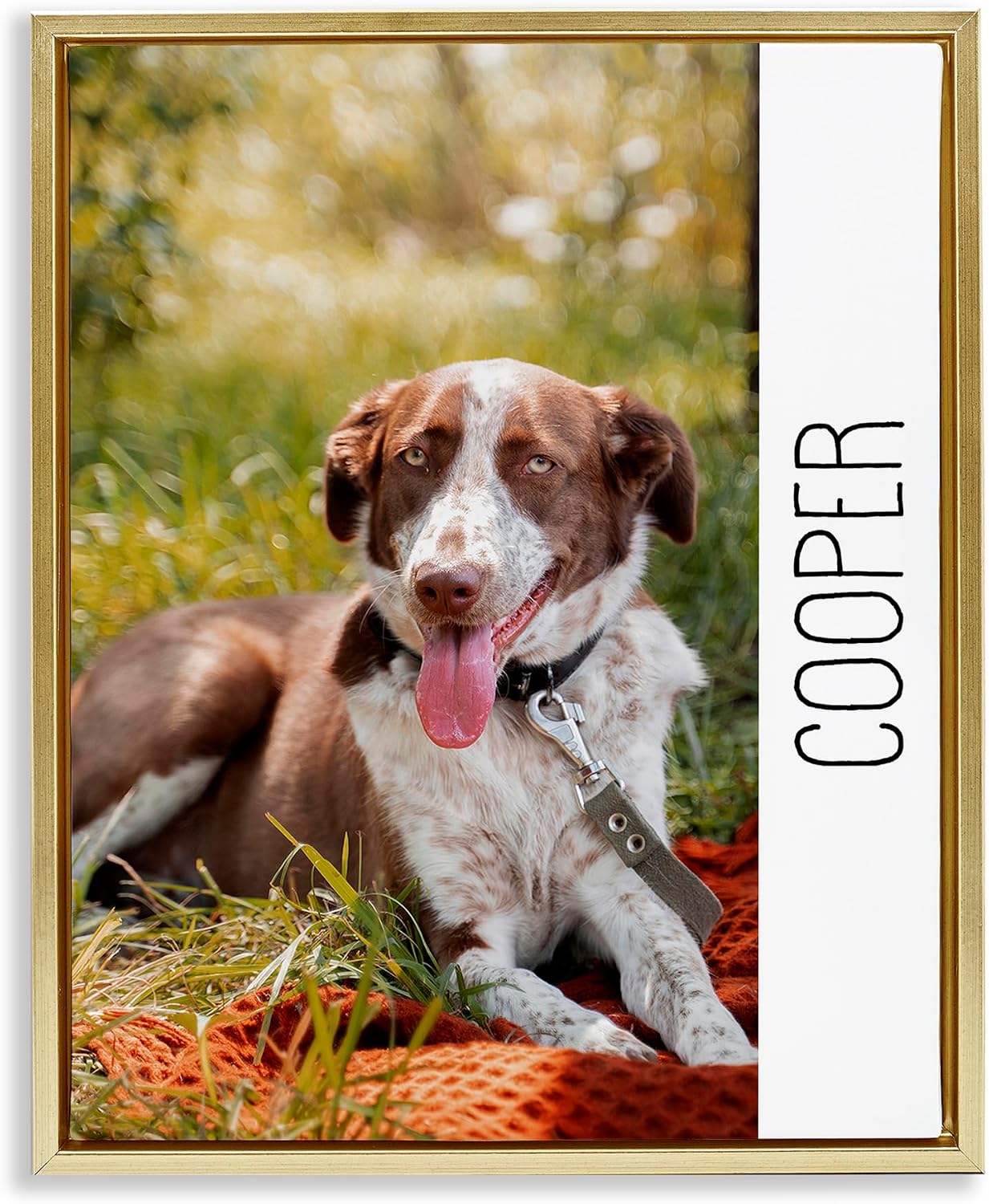 Stupell Industries Personalized Pet Canvas Wall Art – Custom Print with Your Text Made in USA – Pet Keepsake Gift
