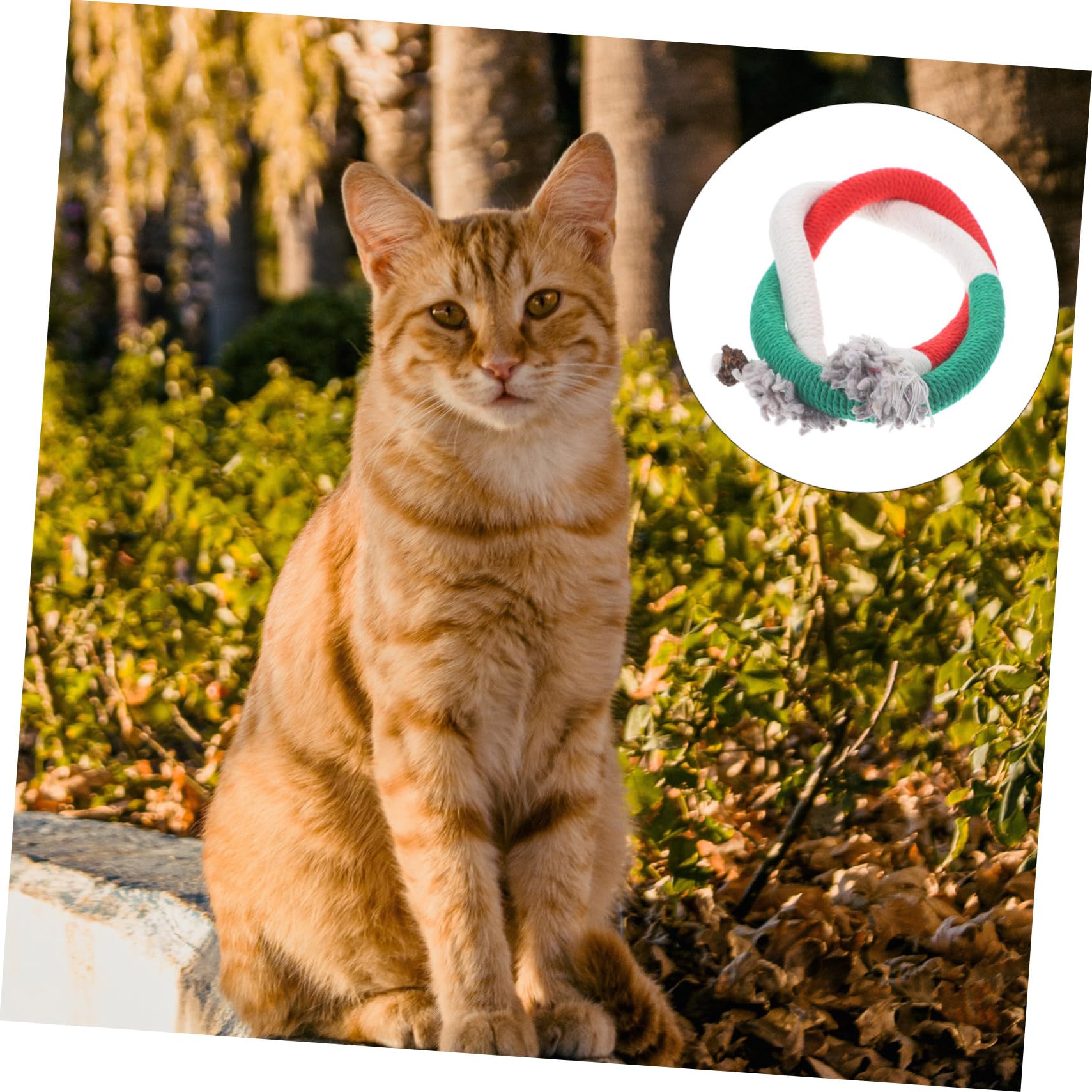 Kisangel Lot De 5 Jouets Interactifs en Corde De Coton Infusé pour Chat pour Jouer avec Les Chatons 3 Pièces X 5