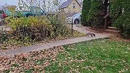 Review Image by Brit Brit