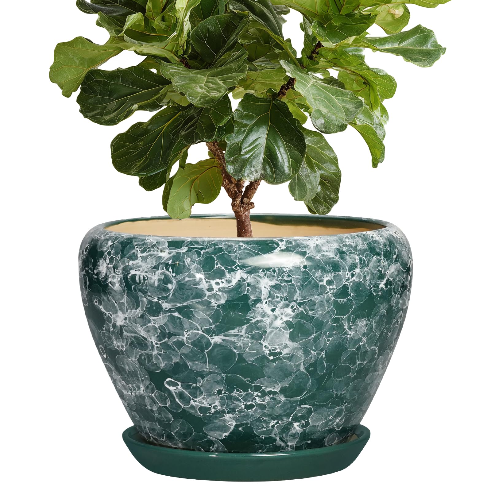 Thirtypot 10 Inch Ceramic Planter