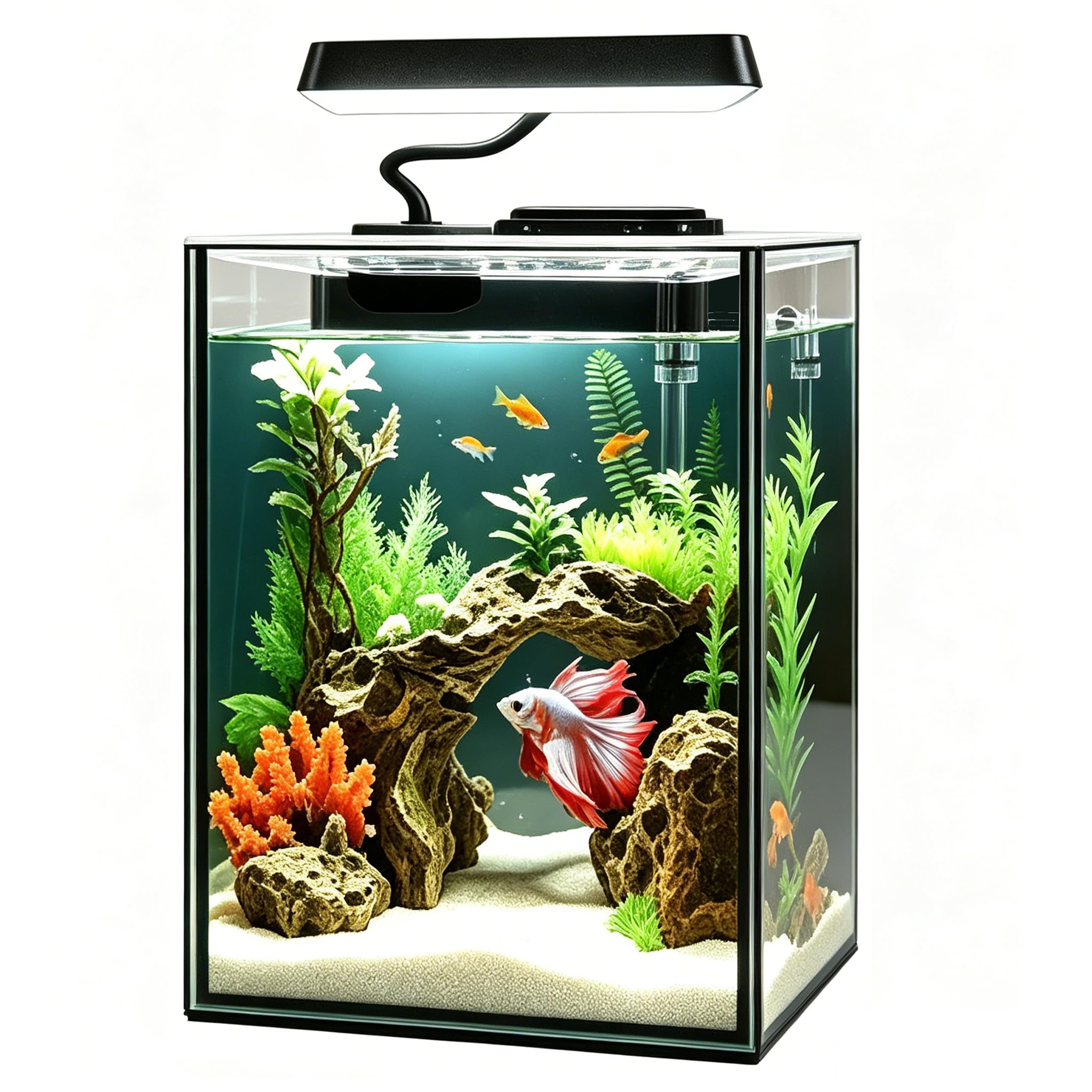 Kit de démarrage en Verre pour Aquarium Betta Petit Aquarium avec lumière LED, Filtre d'alimentation, Noir. Verre de 4 mm