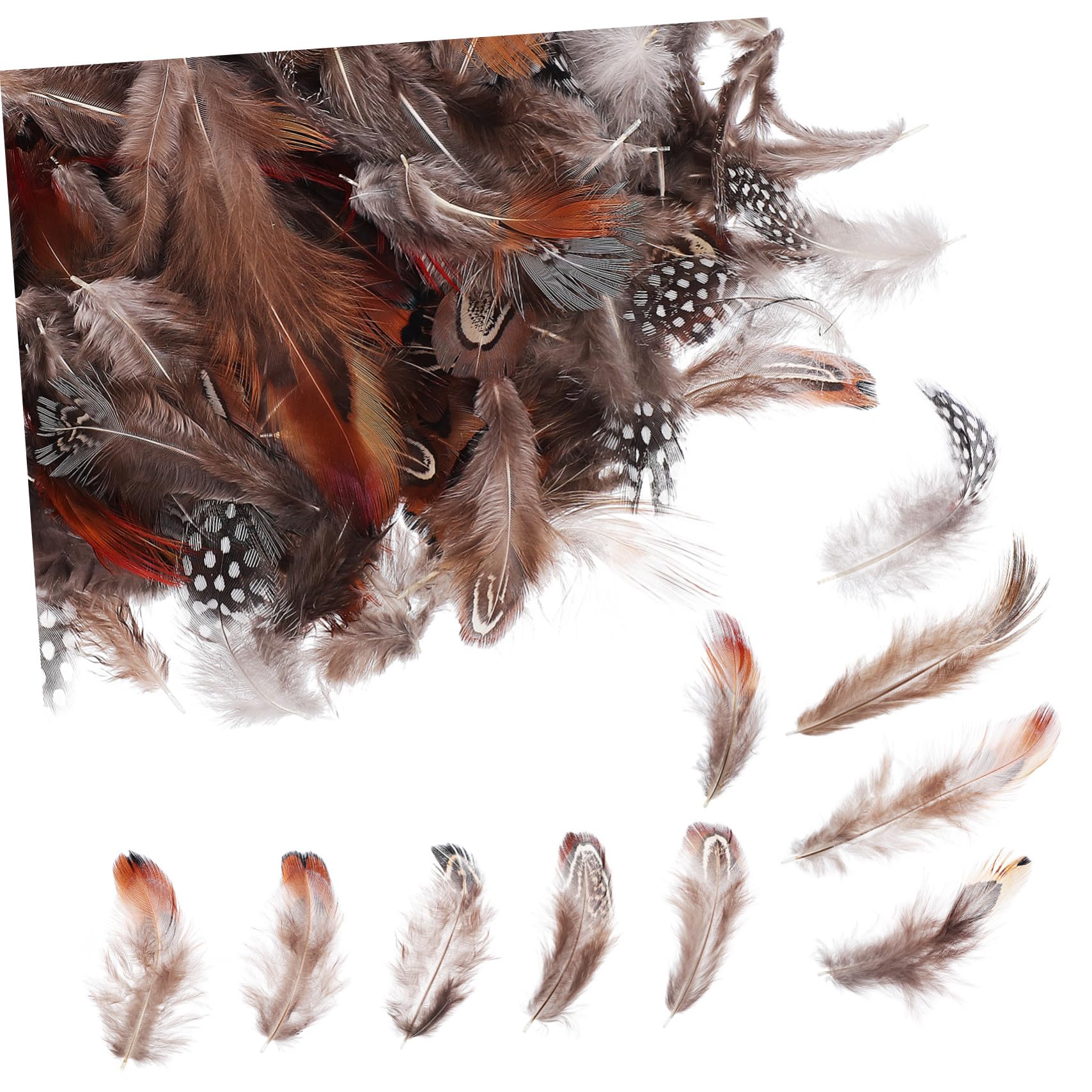 LIFKOME 3 Series Decorativas Naturales De Manualidades Diy Accesorios De Bricolaje Creaciones Únicas Y Decorativos Disfraces Y Proyectos 300 Piezas*3