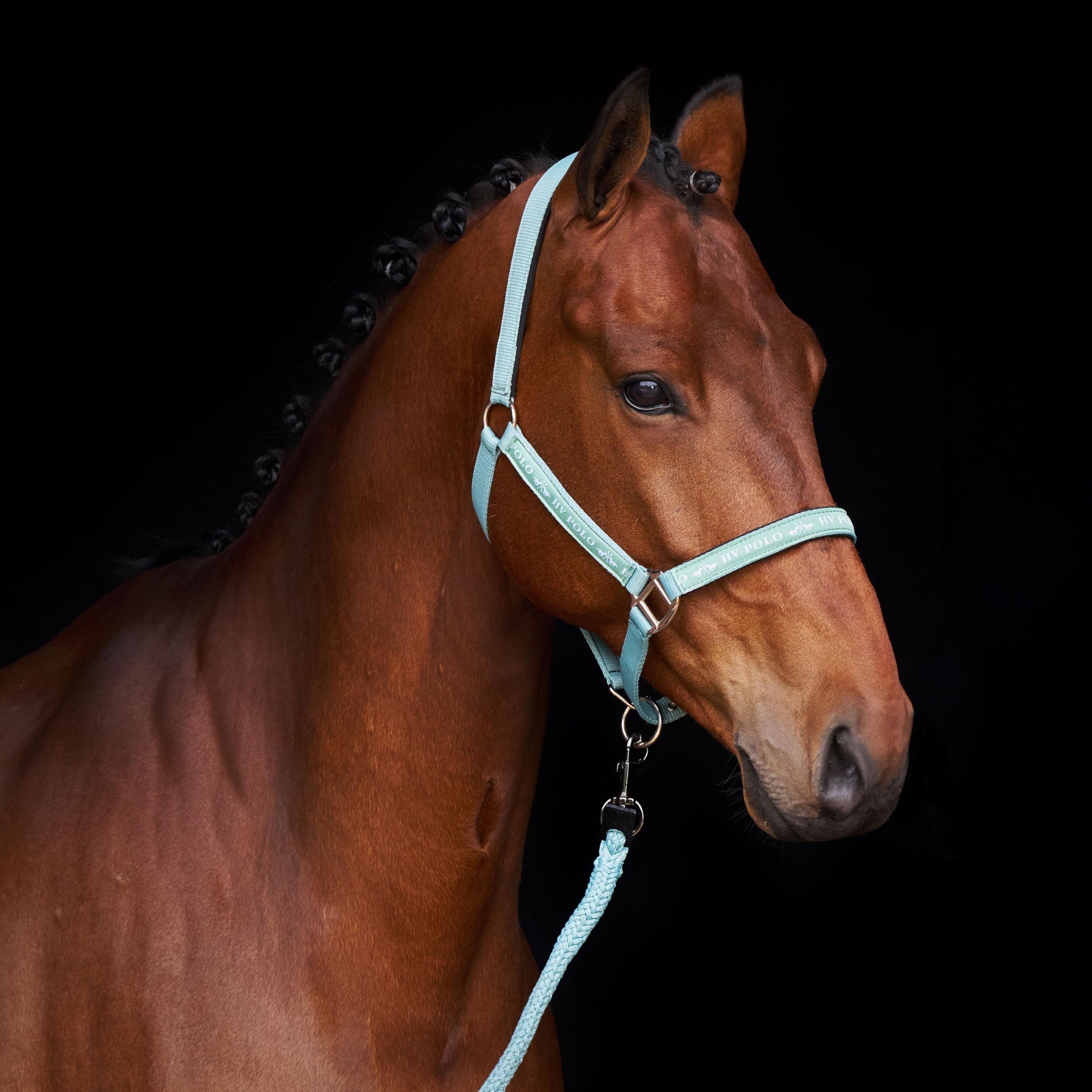 HV Polo Halfter HVPNena Aqua Sky