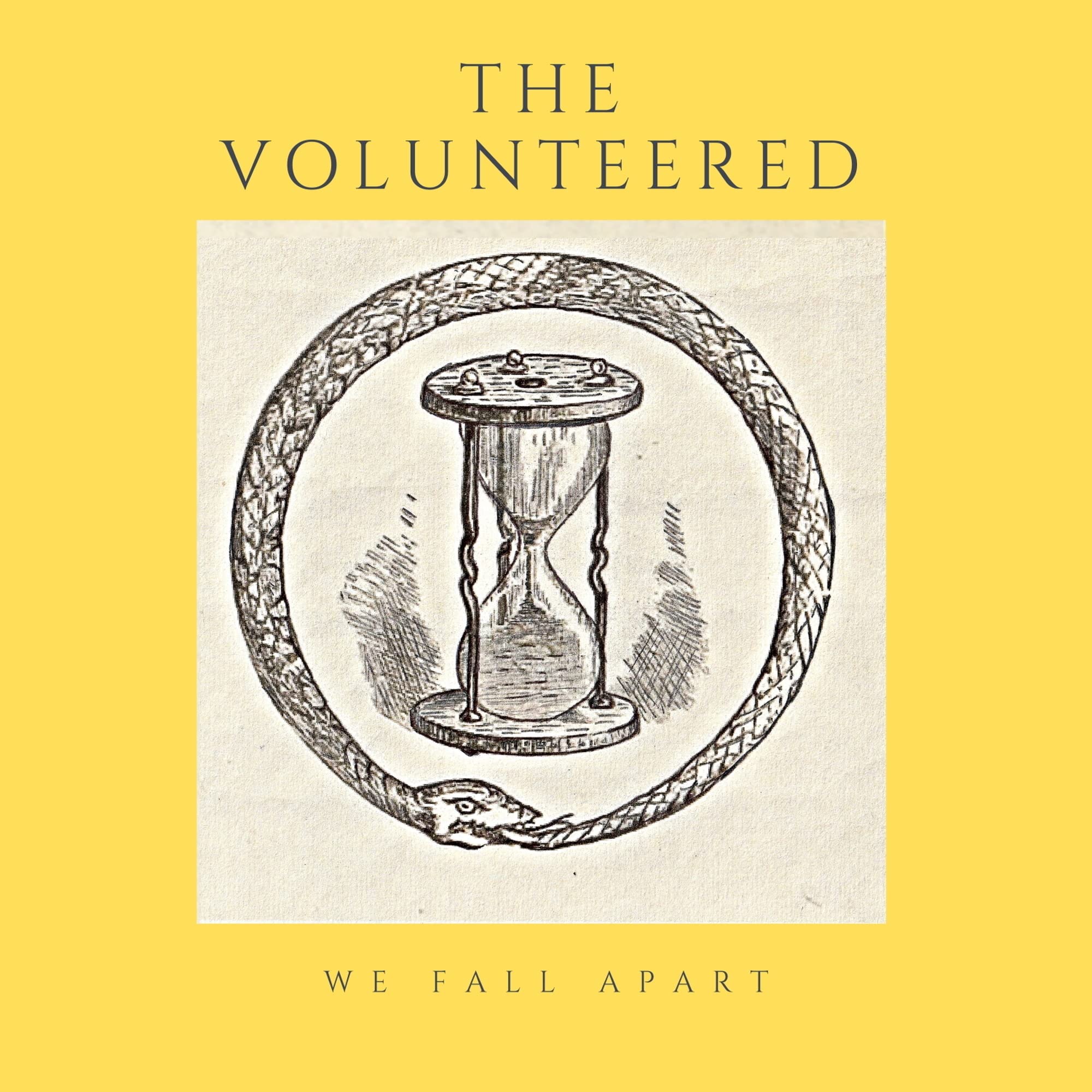 We Fall Apart [VINYL]