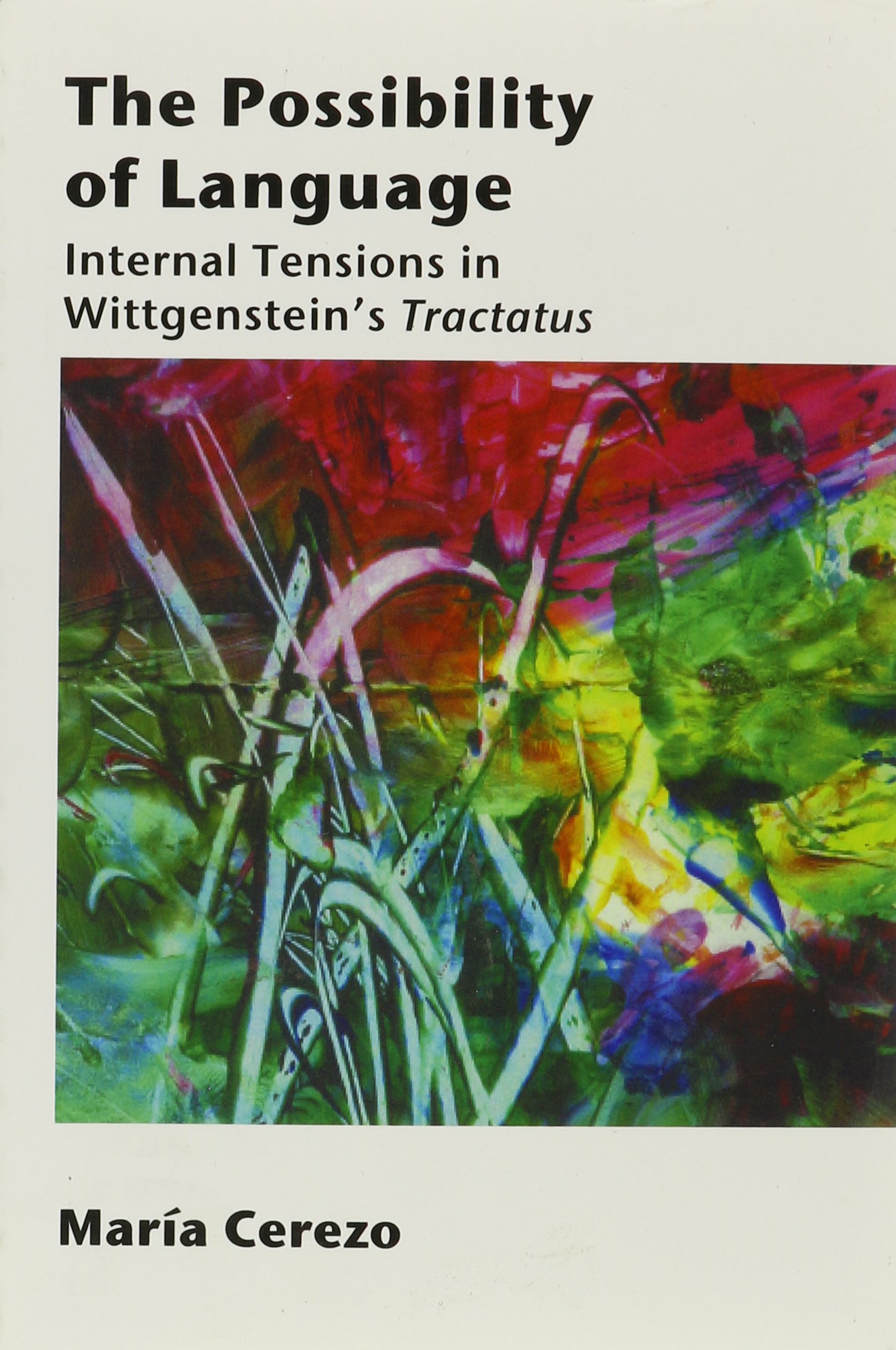 The Possibility of Language: Internal Tensions in Wittgenstein's Tractatus Volume 147