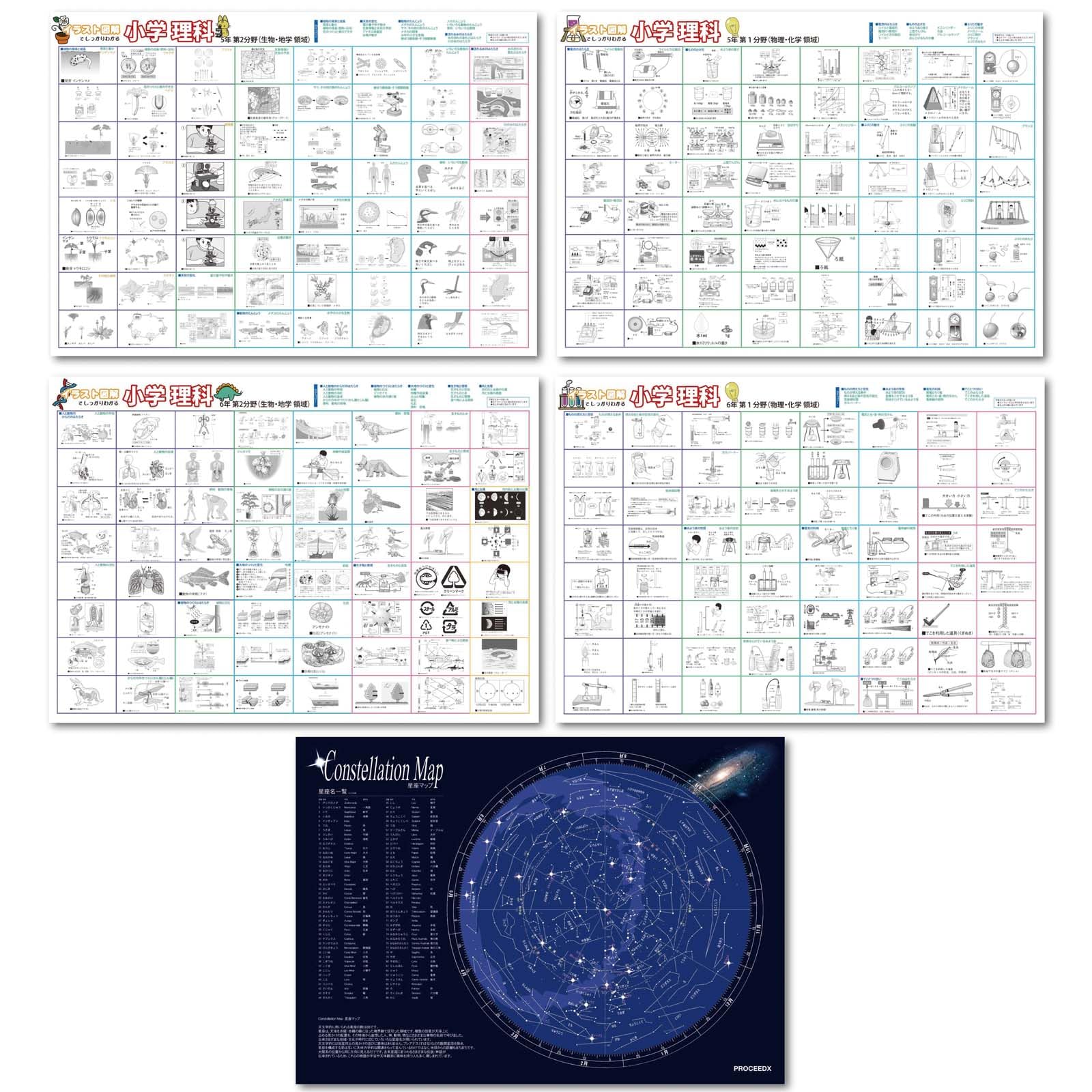 proceedx学習ポスター 小学理科図解特別セット A2サイズ 5点