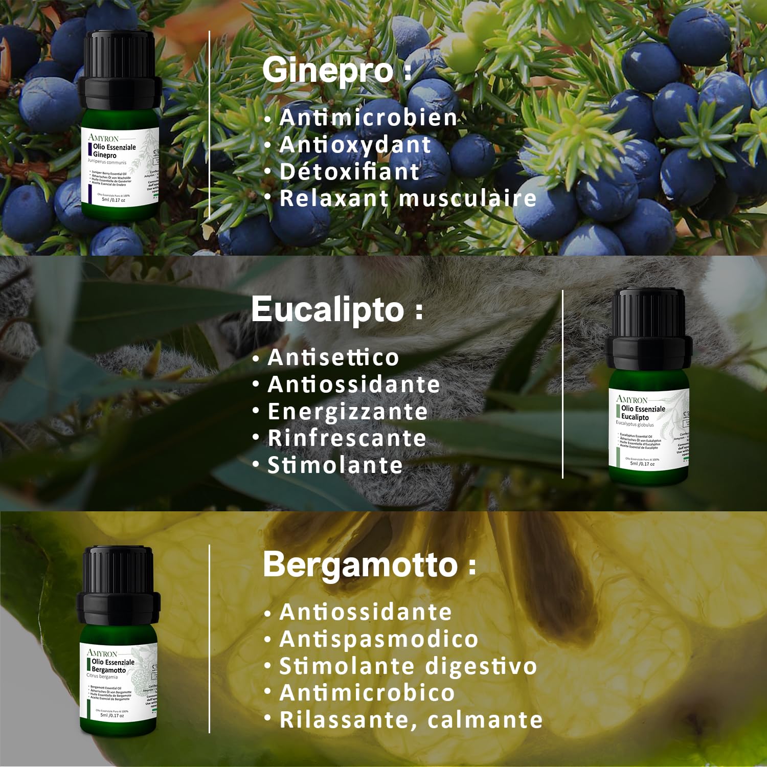 Set di Oli Essenziali Naturali per Aromaterapia | Fragranza Ambiente | Anice stellato | Cajeput | Incenso/Franchincese | Ginepro Bacche | Bergamotto | Eucalipto | Ideale Per Diffusore.