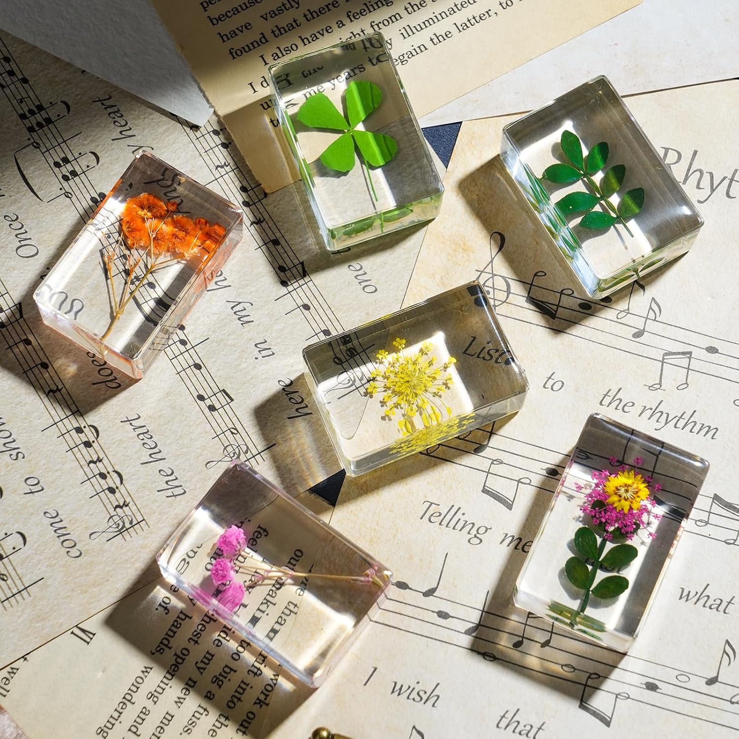 10 Pcs Flower Paperweight, Real Flower Specimen Pressed Flowers in Resin, Botanical Paperweights for Desk Decor, Science Education & Unique Display Supplies (Flower Set 2)
