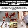 Cockroach Killer Bait Gel - Strong Attractant Eliminates Roaches & Nests, Long-Lasting Formula for Kitchen, Bathroom, Home