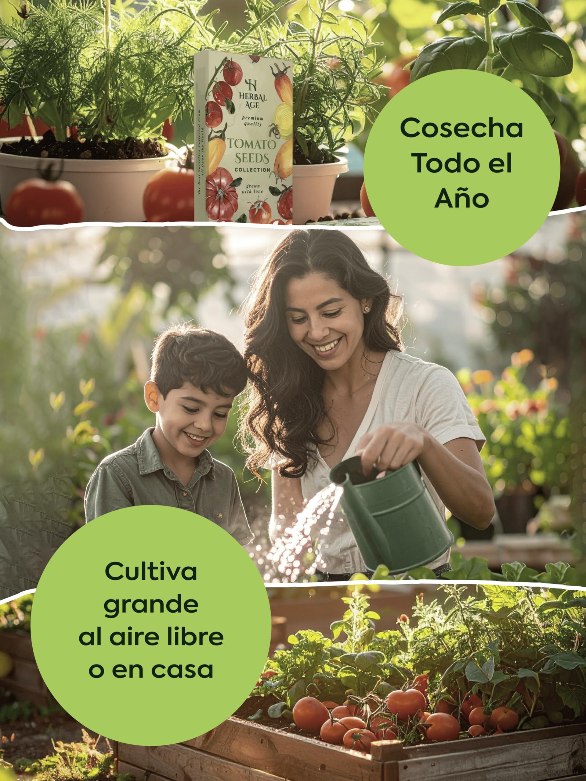 Kit Semillas Huerto Urbano De 12 Vegetales – Pack de 2, 10.200 Ecológicas Semillas De Tomate, Pepino, Lechuga, Tomates Cherry – Kit Huerto En Casa Pack, Regalos Originales Para Hombre y Mujer