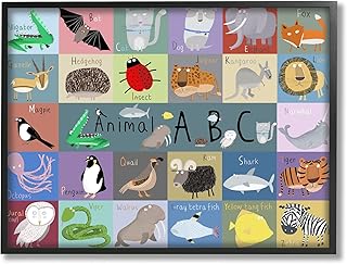 Stupell Industries Various Animal Alphabet Learning Framed Wall Art, Design by Carla Daly