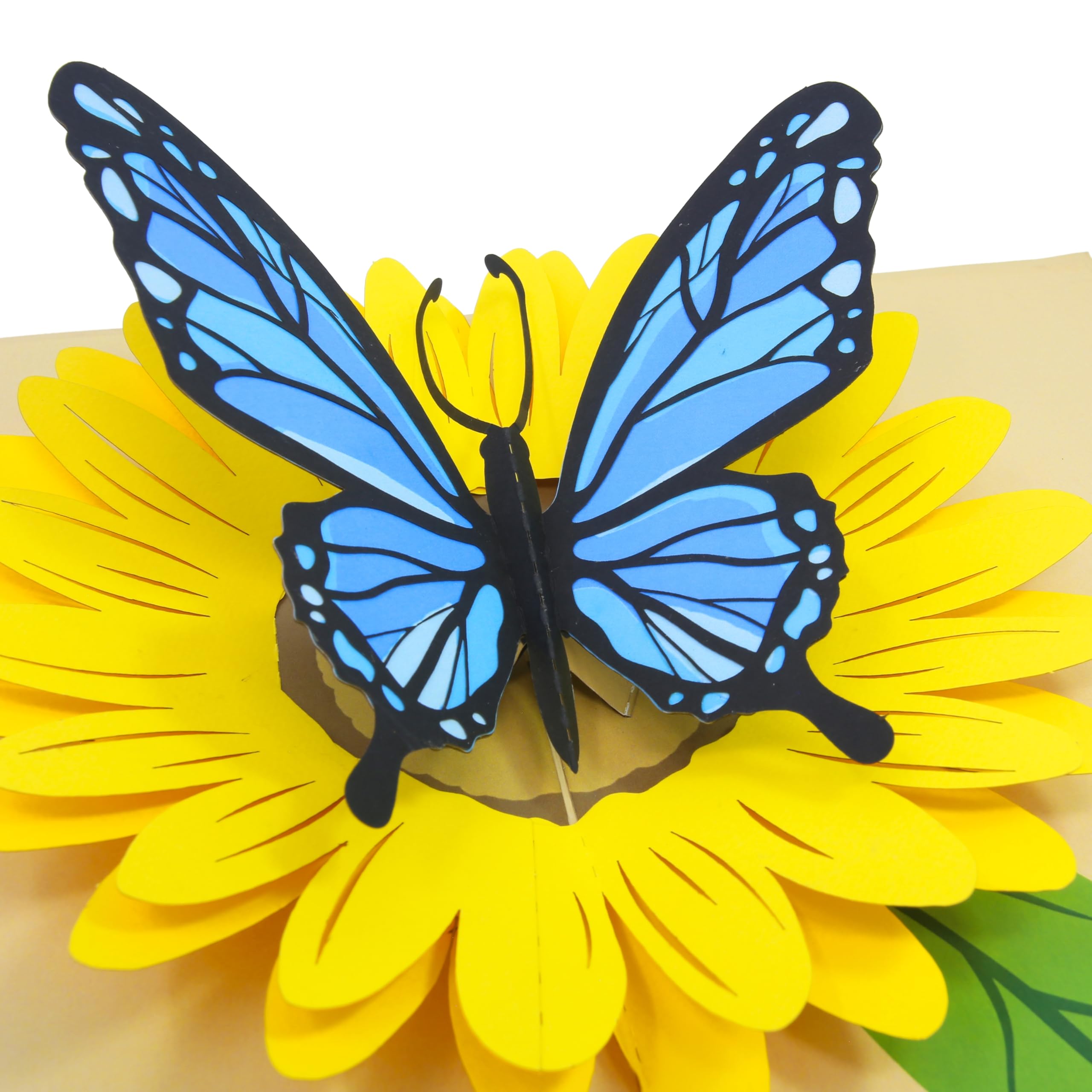 PopLife® Blue Butterfly and Sunflower Pop Up Mother's Day Card - 3D Anniversary, Valentine's Day Card, Thank You, Happy Birthday - for Mom, for Wife, for Daughter, for Sister