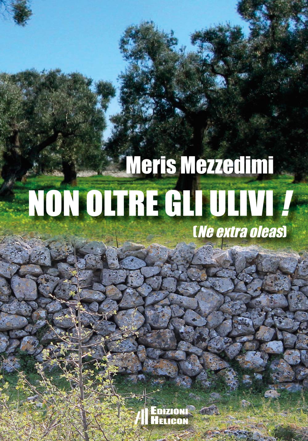 Non Oltre Gli Ulivi! (Ne Extra Oleas) - 4