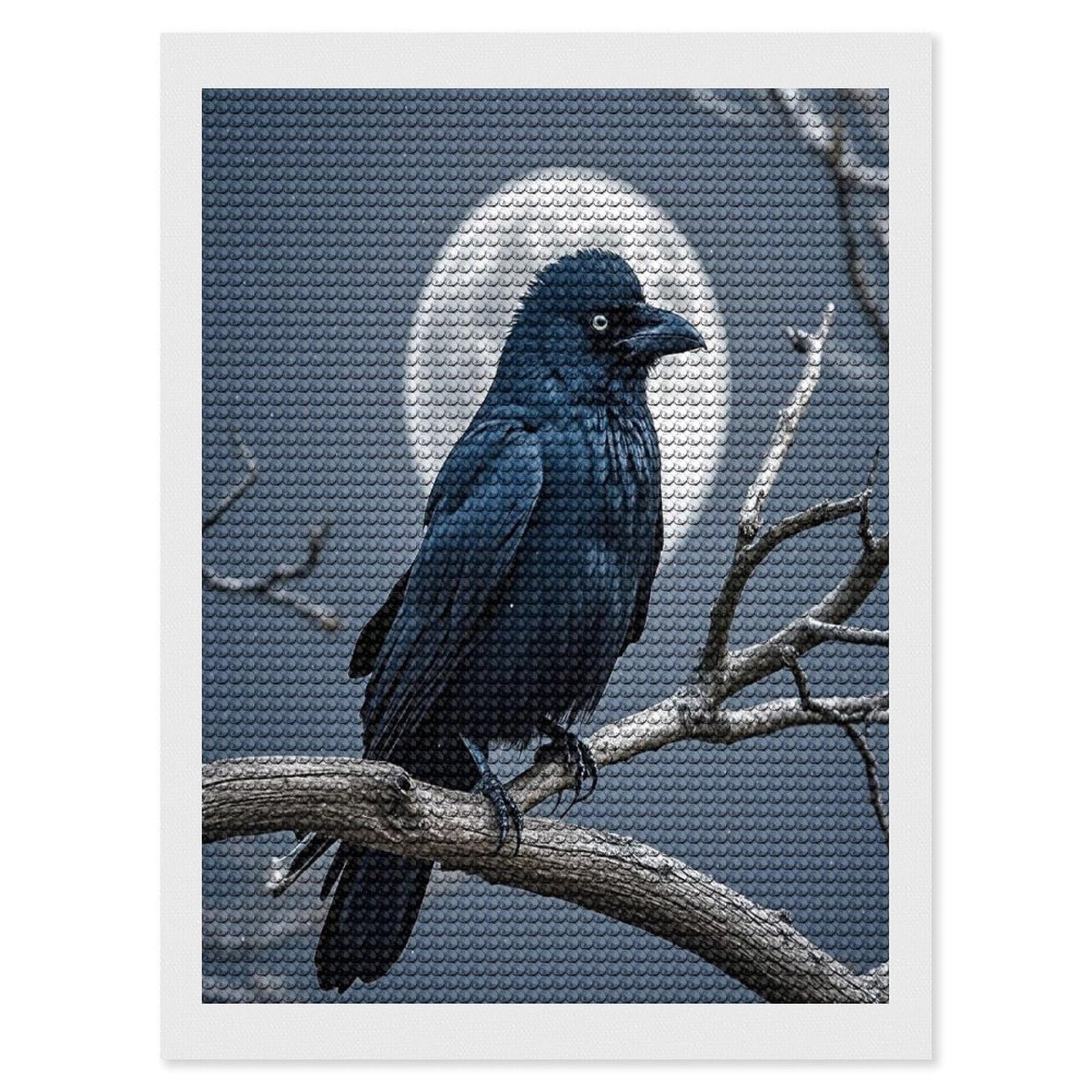 FekiLoot Night Crow Diamond Painting Kits for Adults Full Round Drill Diamond Art Kits for Beginners 5D DIY Diamond Dots Paintings Diamonds Pictures Gem Art Home Wall Decor 12"x16"