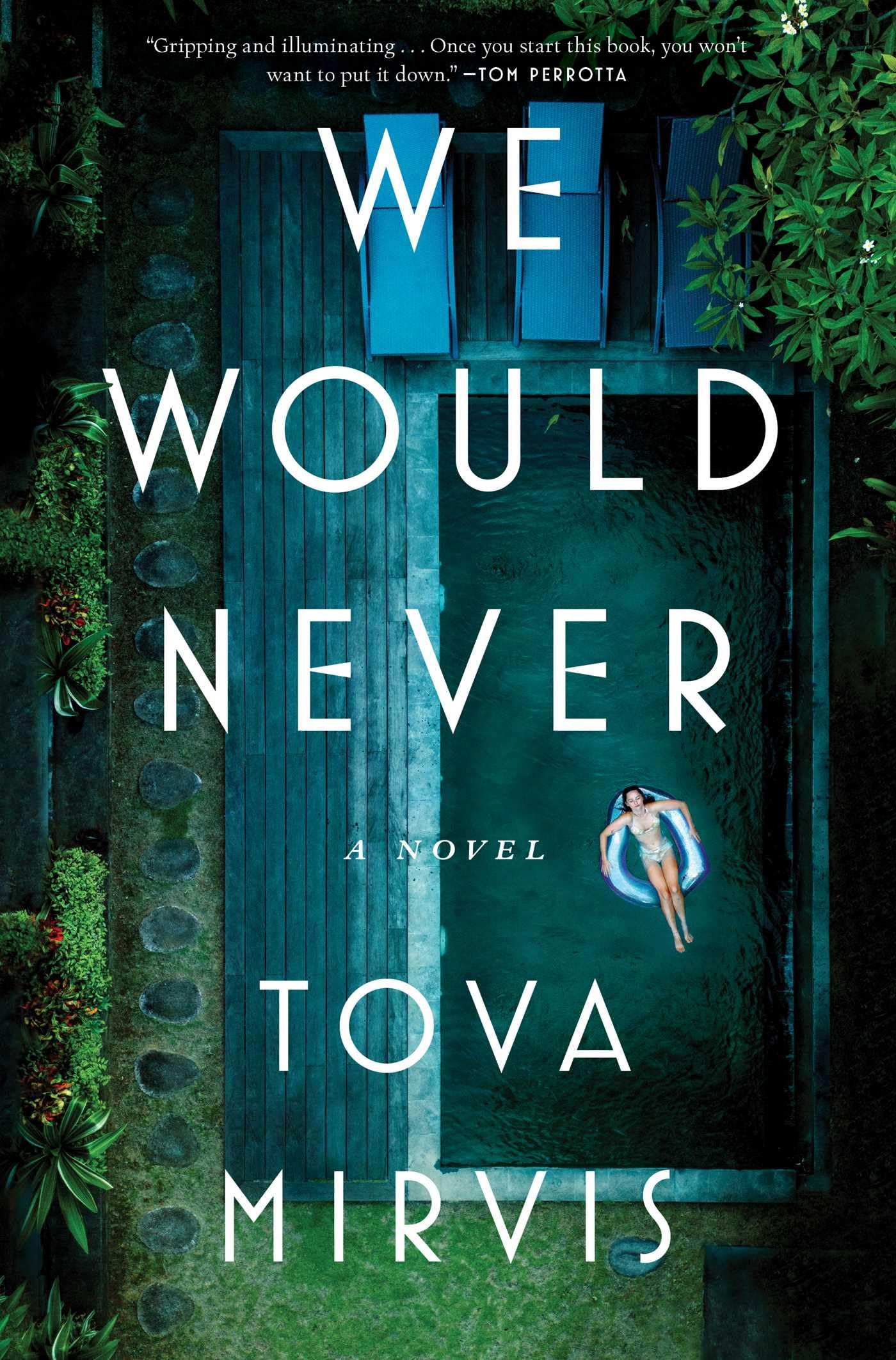 We Would Never: A Novel