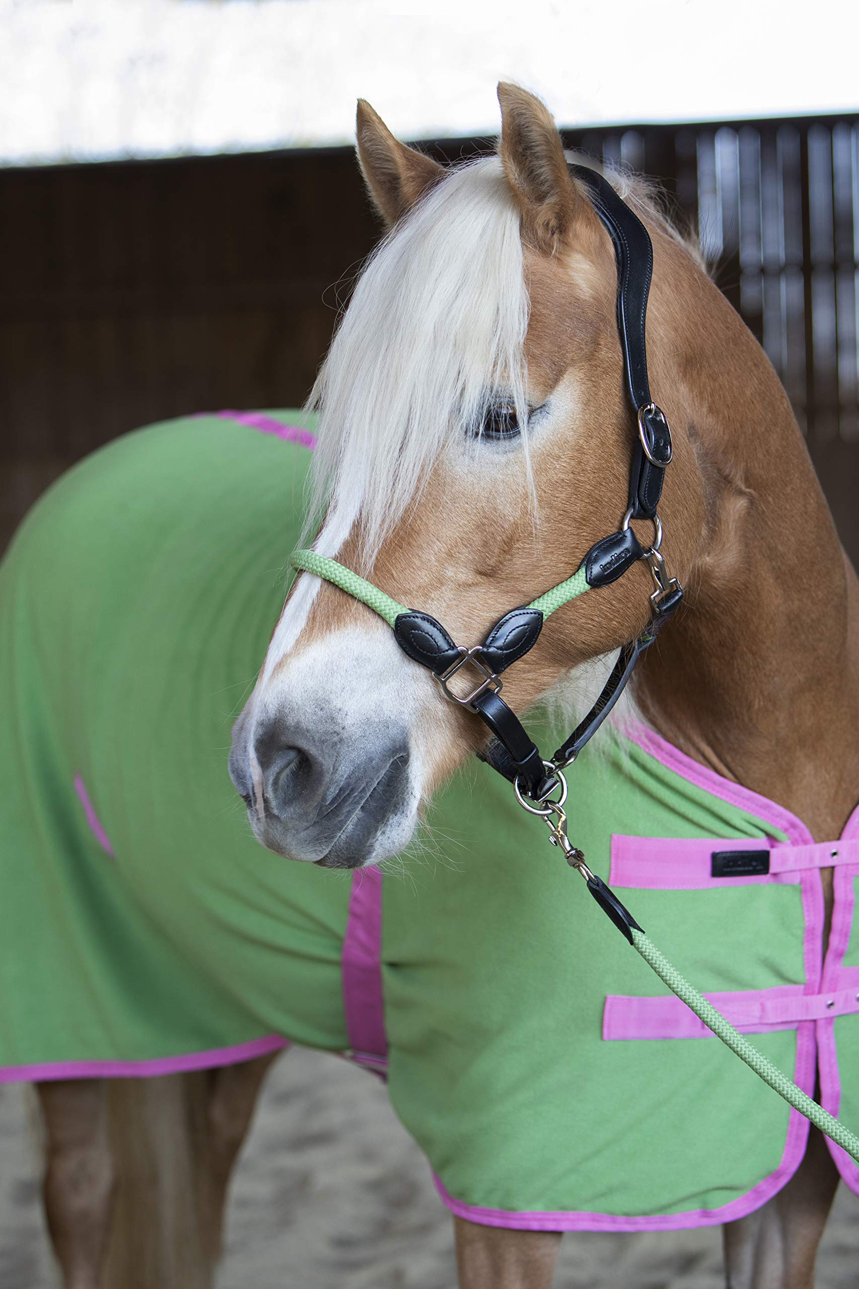 indira Seil-Leder-Halfter pro Flex PP-Strick-Echtleder (Pony, Grün 01)