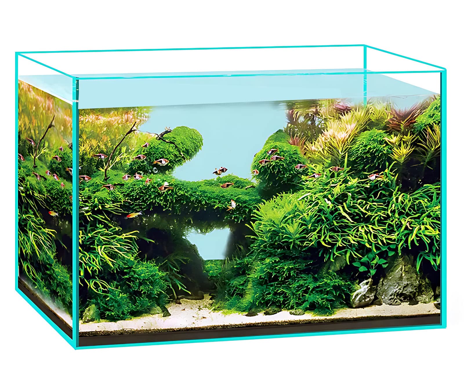 Aquarium Becken Glasbecken 30x20x20cm, 40x25x25cm, 60x30x30 cm